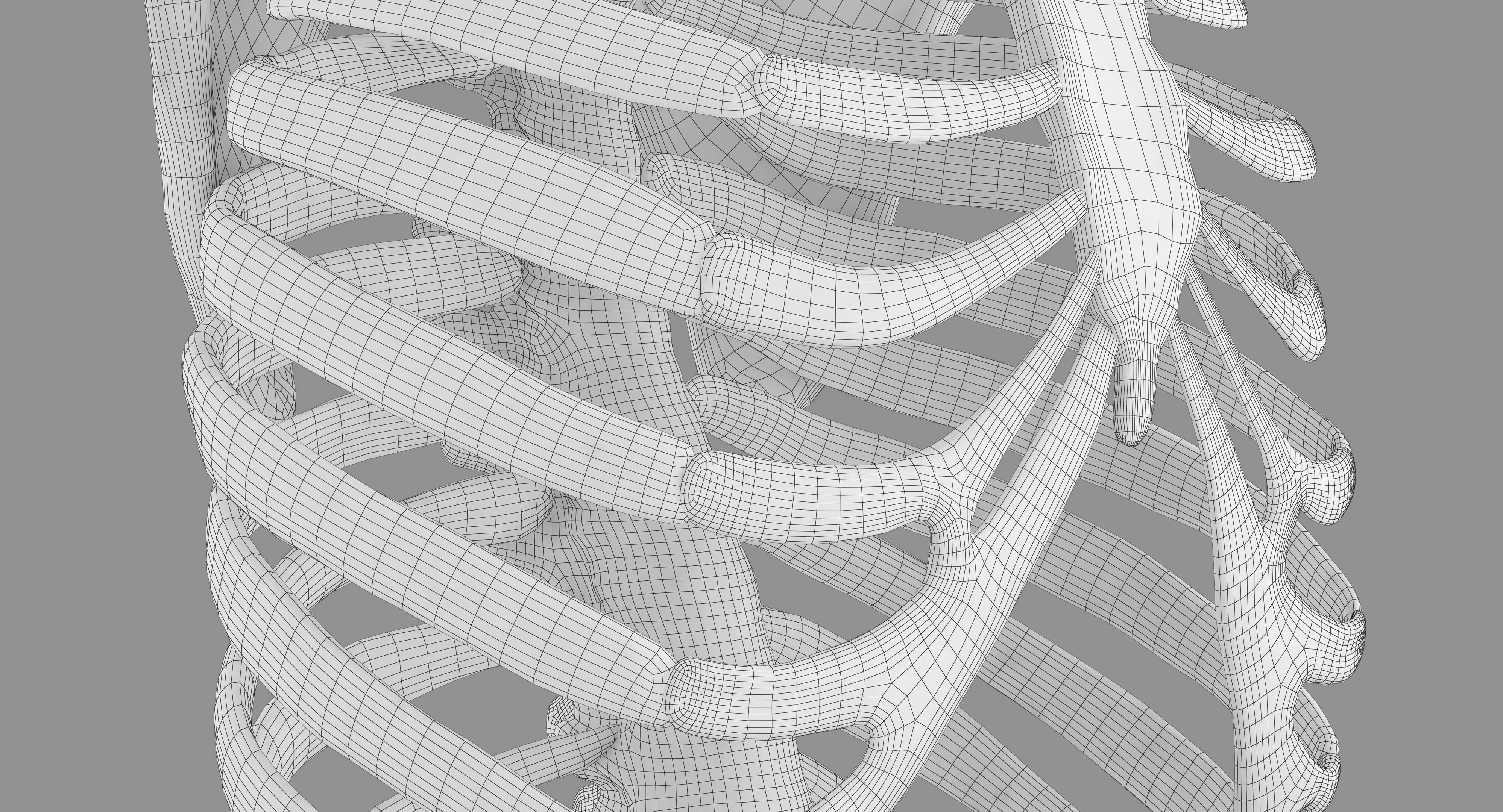 Human Spine Scanned Low-poly 3D model_19
