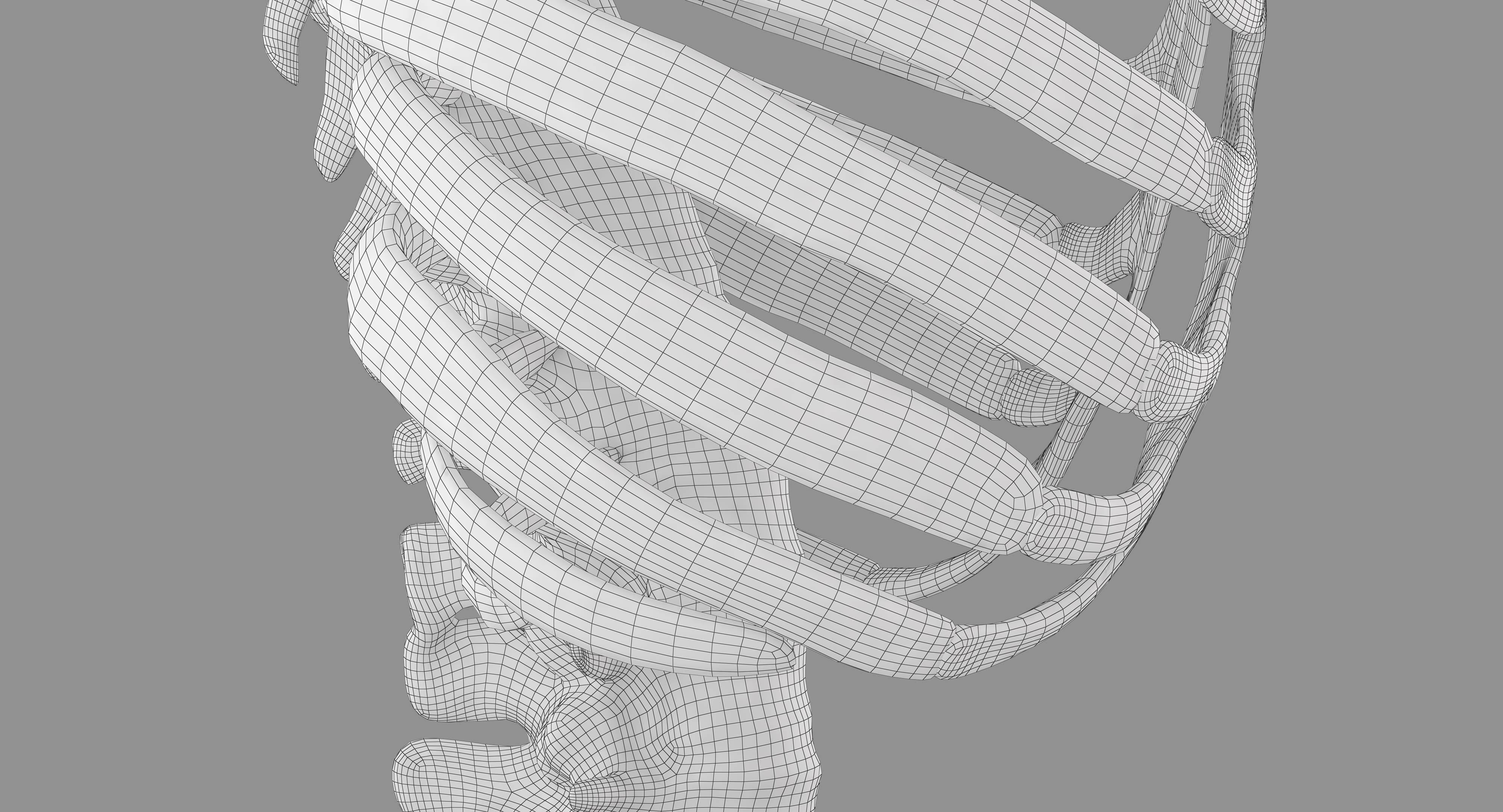Human Spine Scanned Low-poly 3D model_31