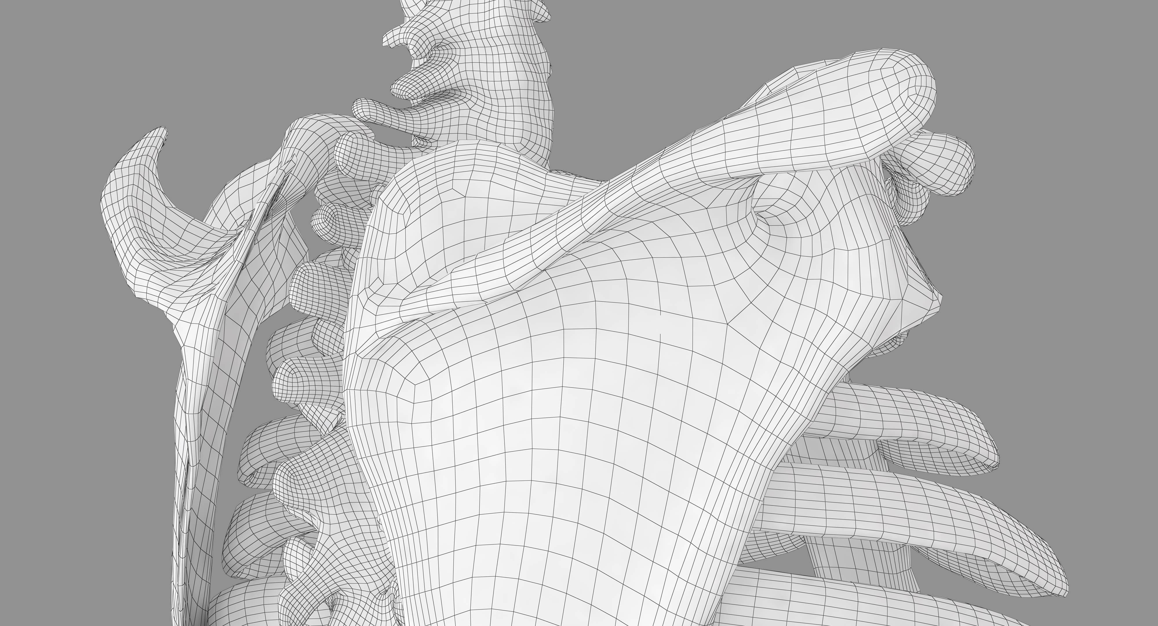 Human Spine Scanned Low-poly 3D model_37