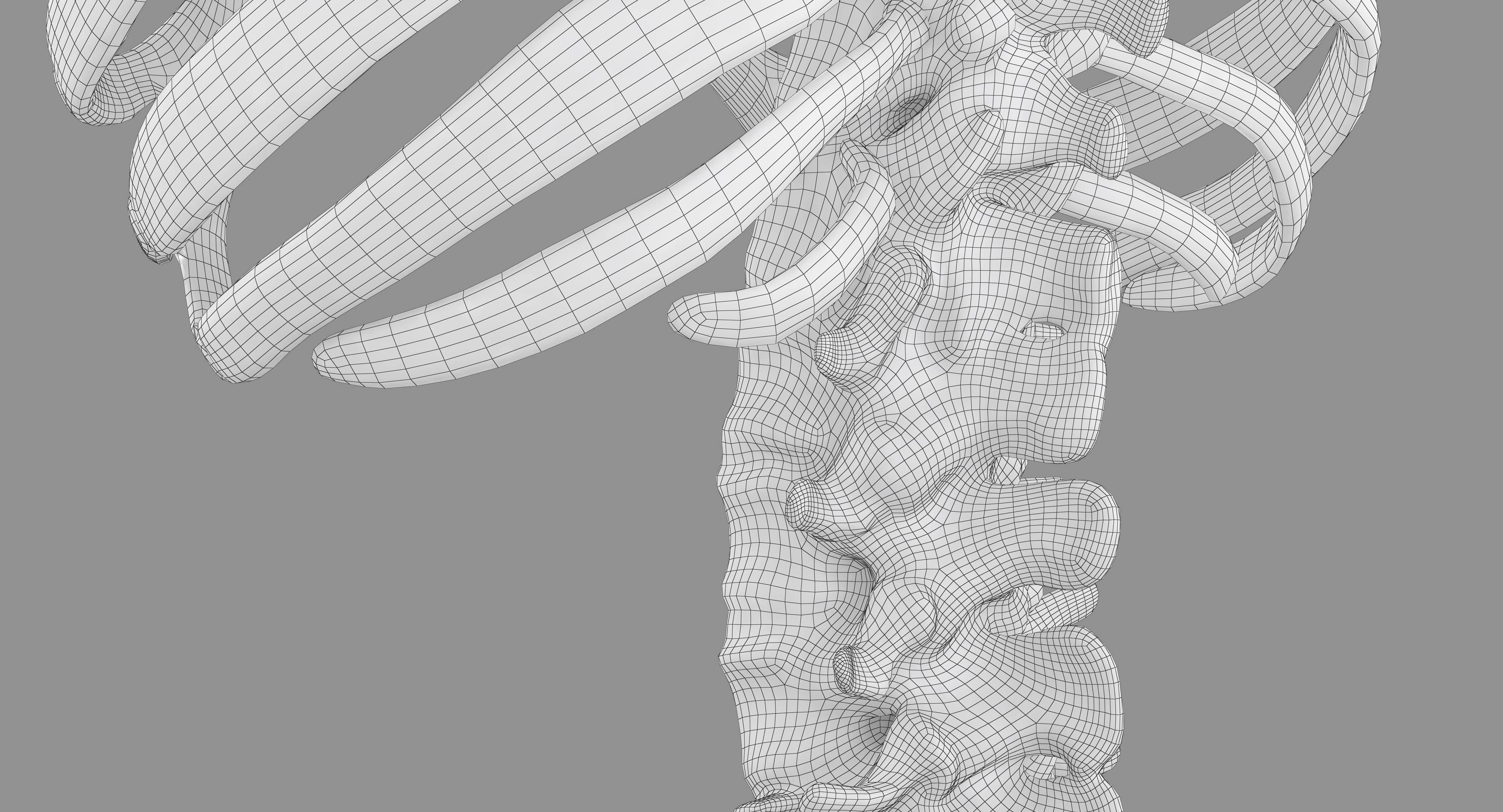 Human Spine Scanned Low-poly 3D model_61
