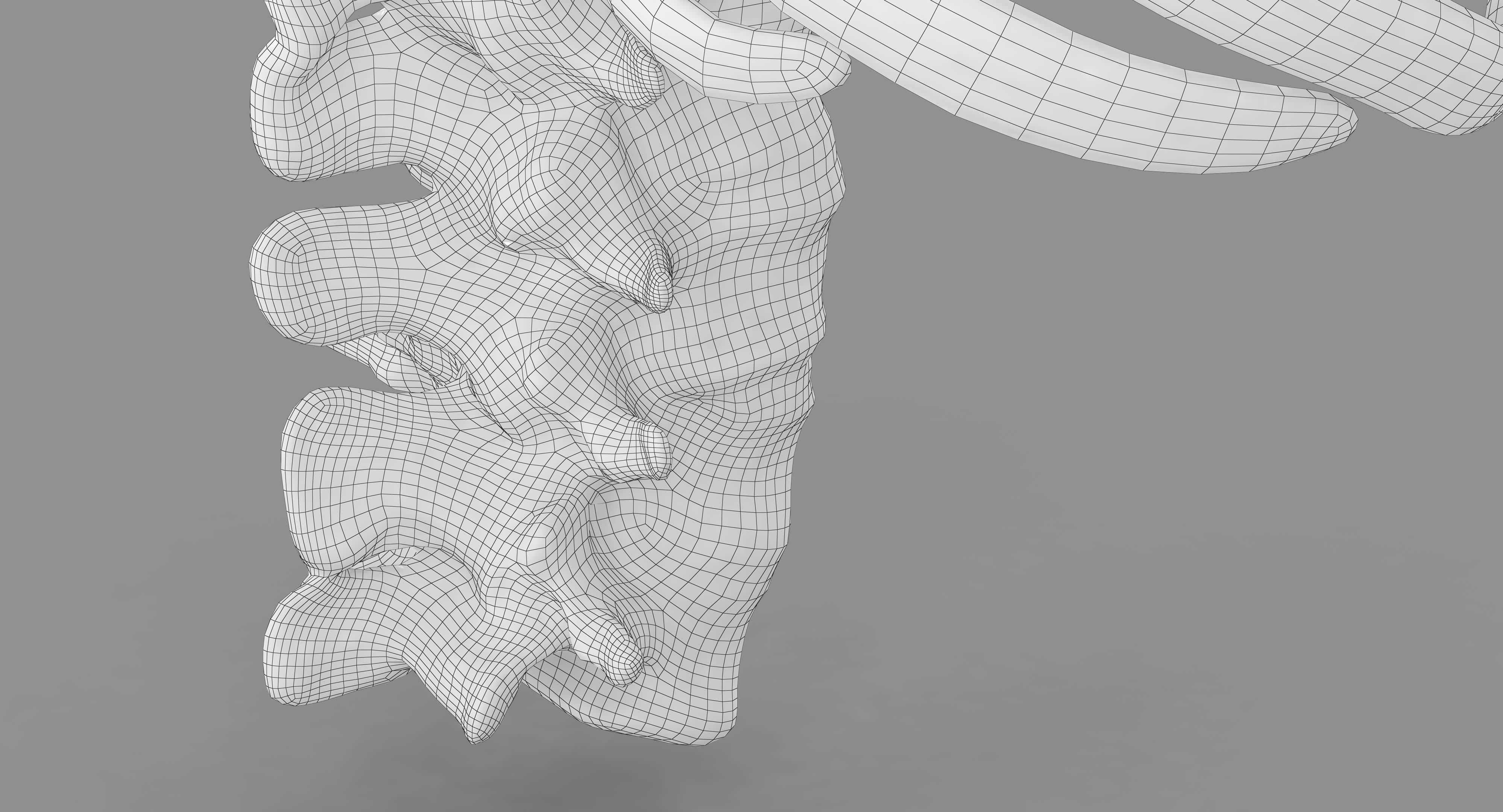 Human Spine Scanned Low-poly 3D model_43