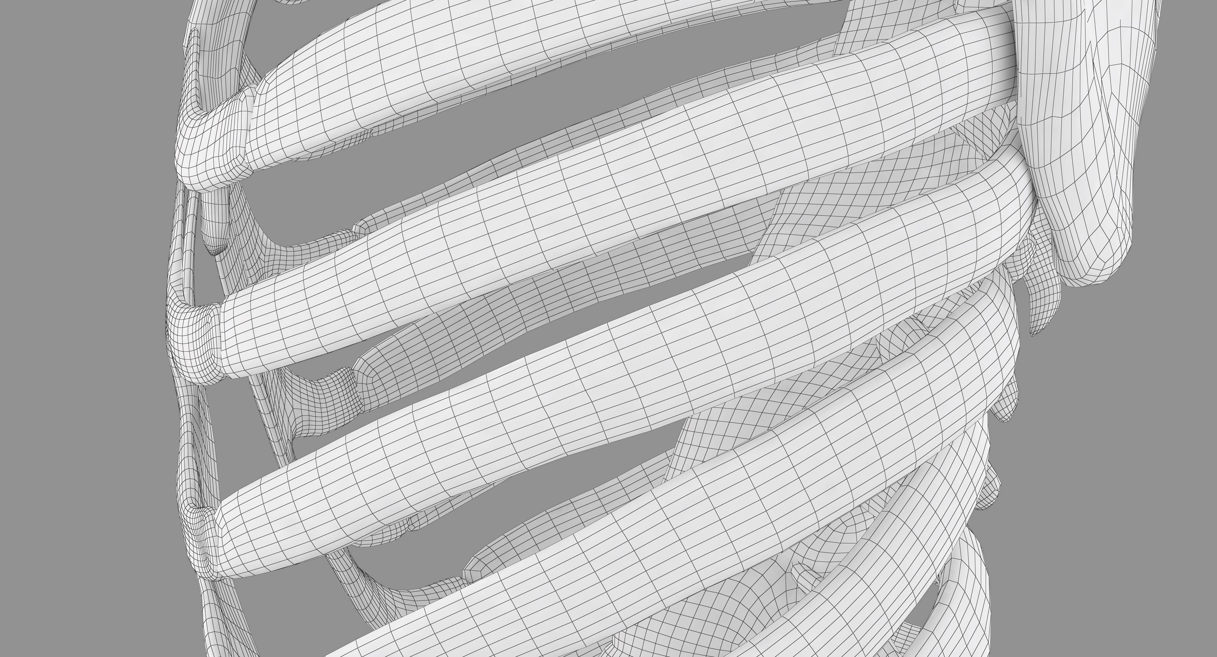 Human Spine Scanned Low-poly 3D model_69