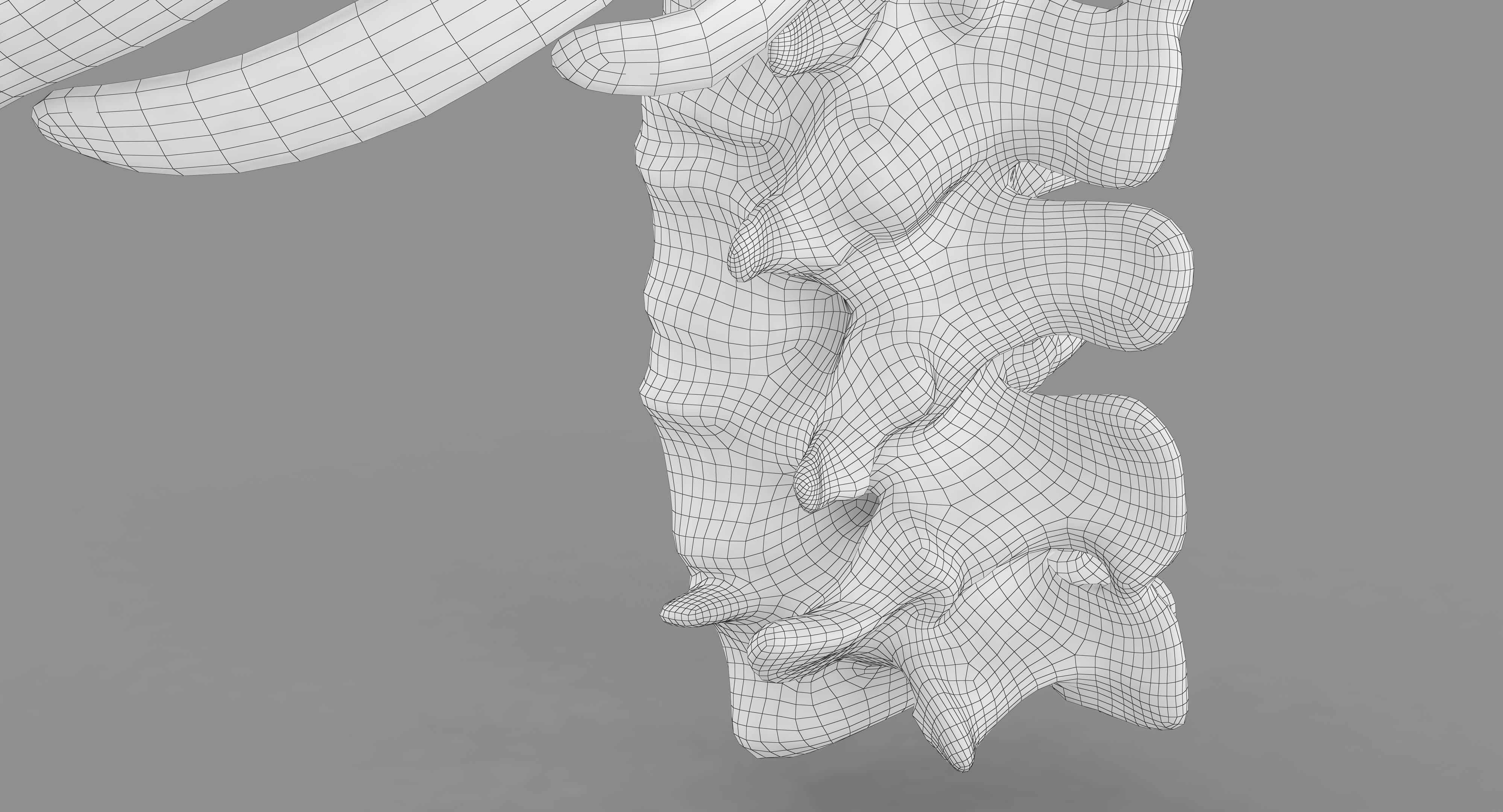 Human Spine Scanned Low-poly 3D model_63