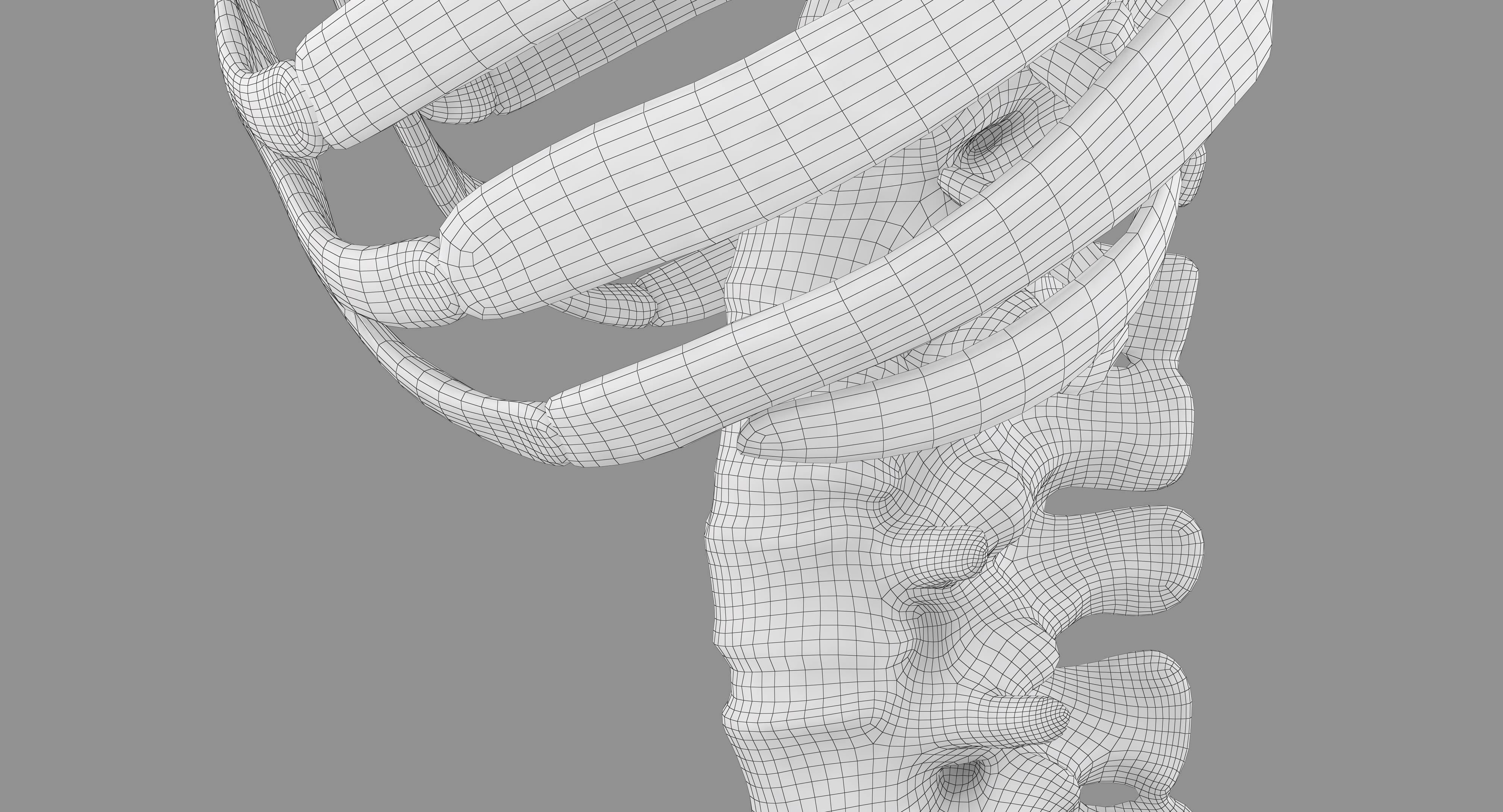 Human Spine Scanned Low-poly 3D model_71