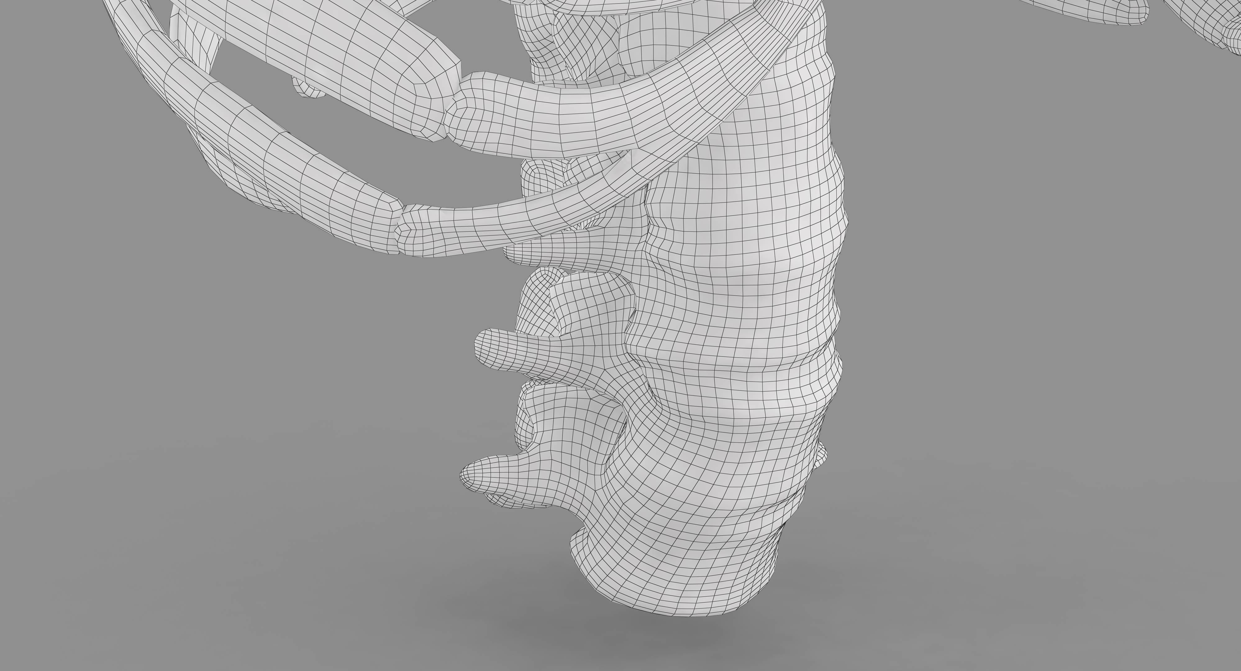 Human Spine Scanned Low-poly 3D model_23