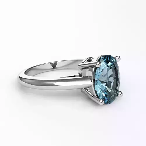 Ring 3D Model - 37800