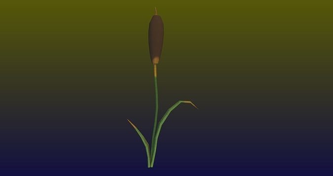Low poly Swamp Weeds FREE Free low-poly 3D model
