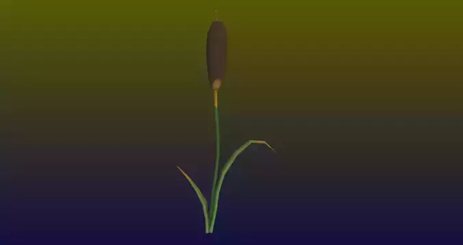 Low poly Swamp Weeds FREE Free low-poly 3D model