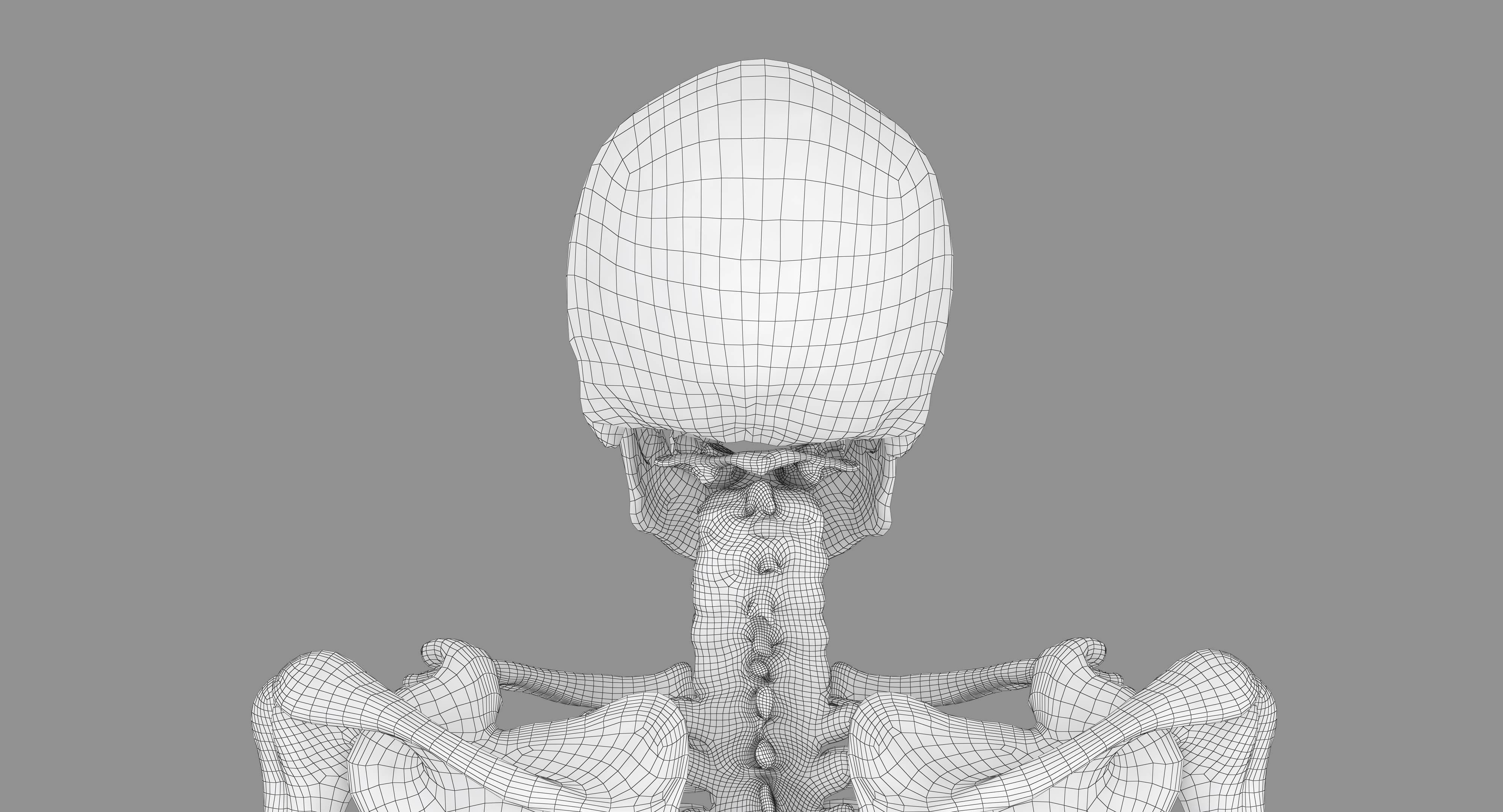 Human Skeleton Scanned Low-poly 3D model_46