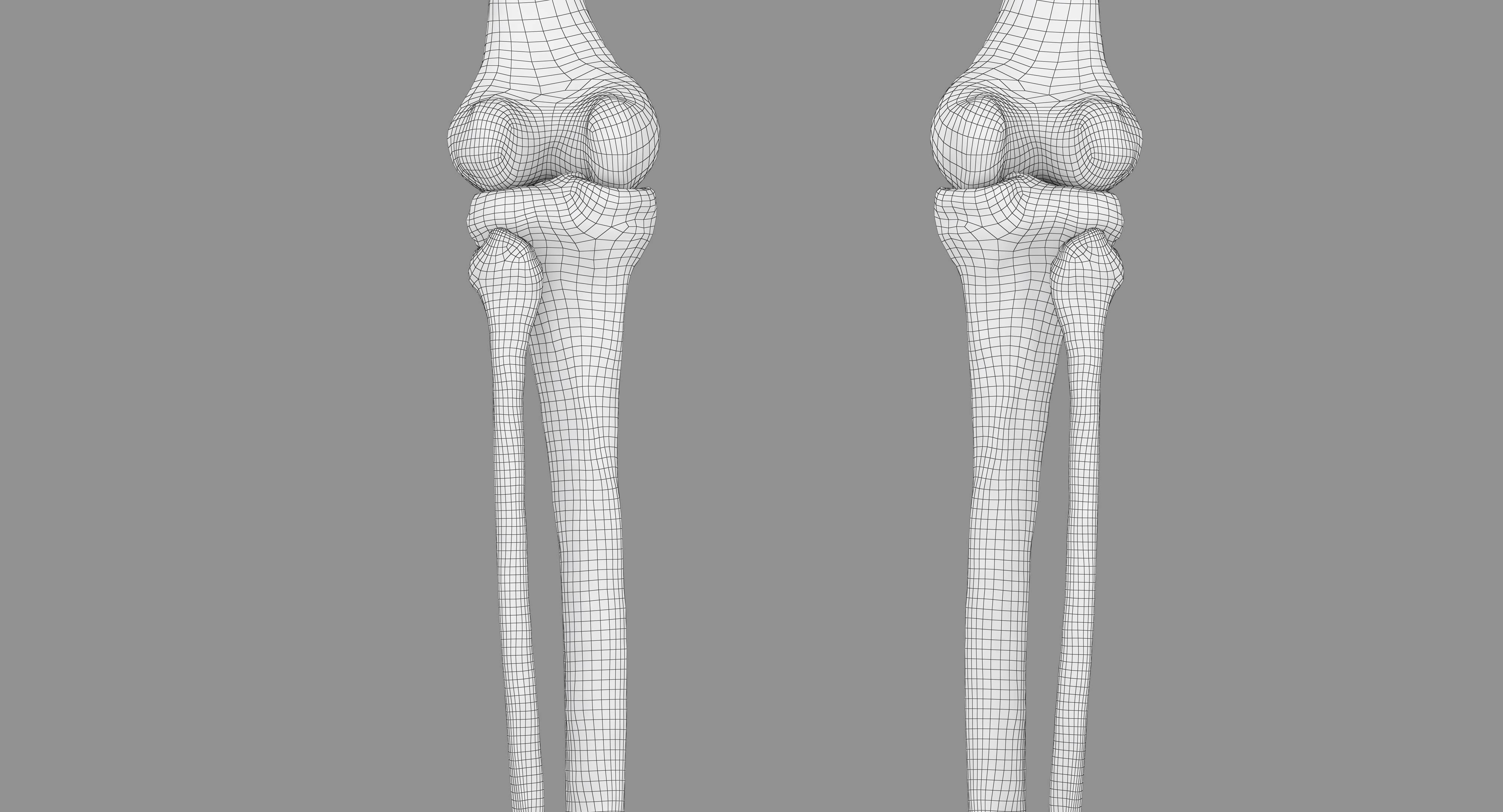 Human Skeleton Scanned Low-poly 3D model_52