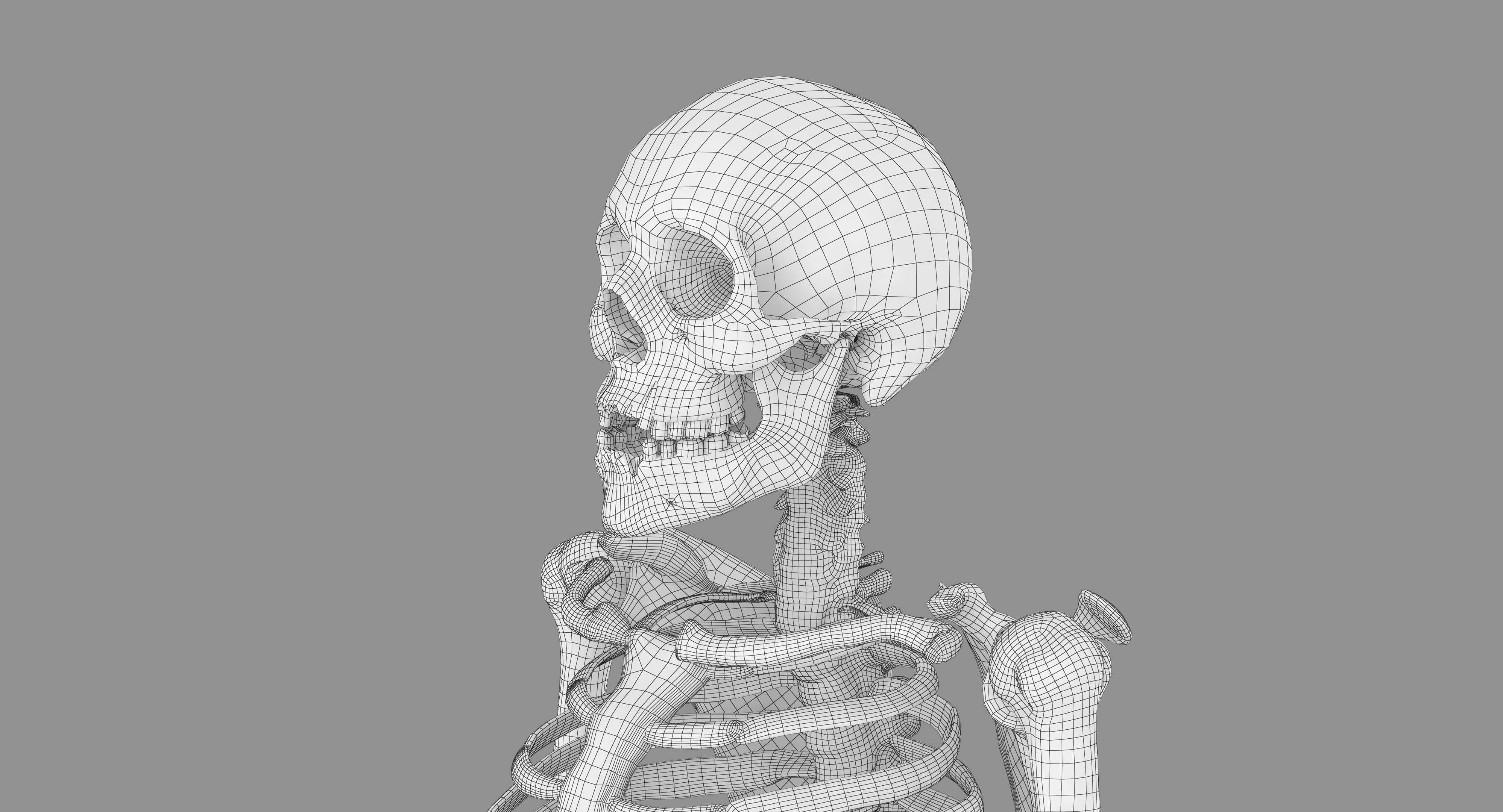 Human Skeleton Scanned Low-poly 3D model_76
