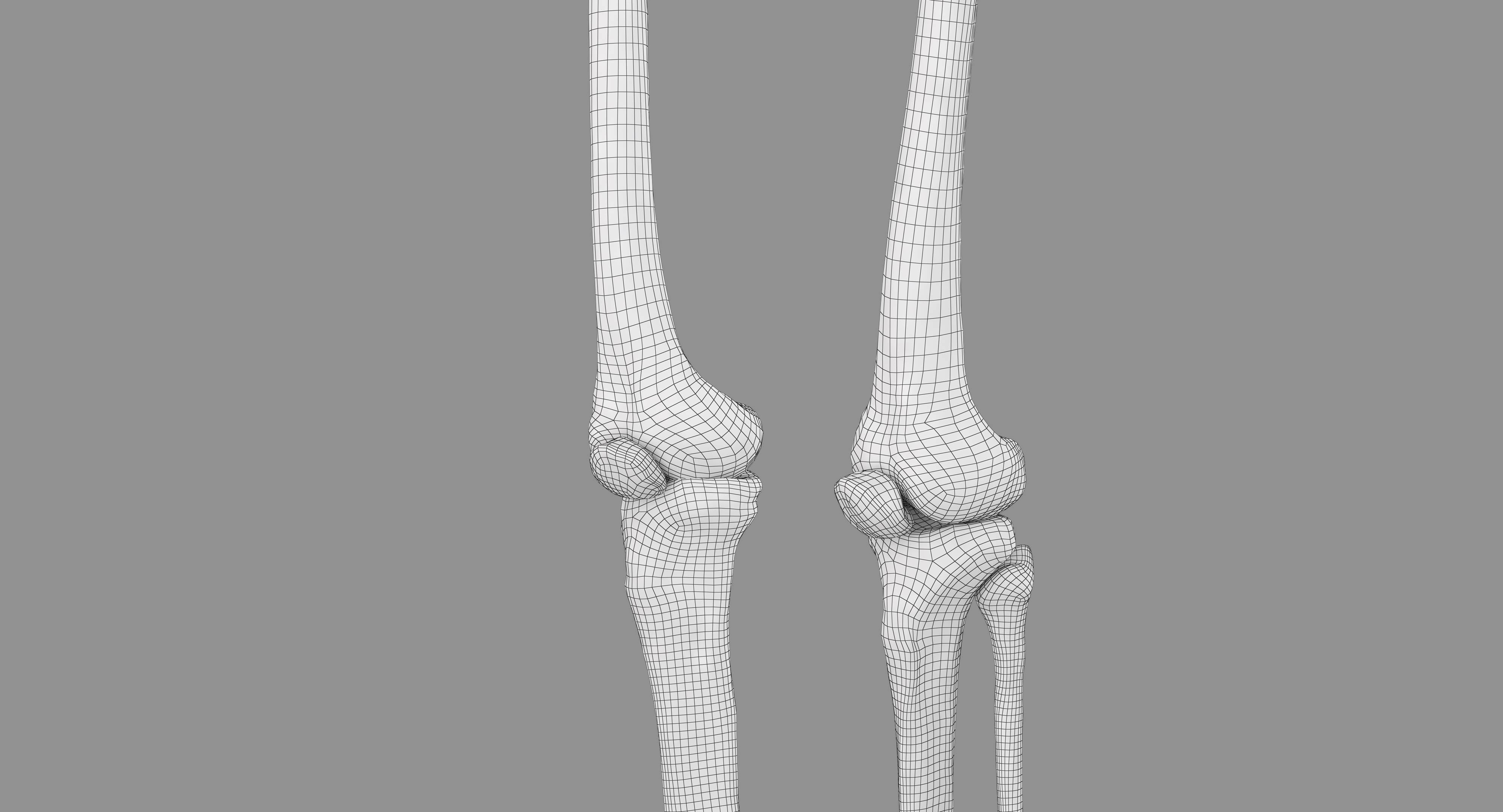 Human Skeleton Scanned Low-poly 3D model_82