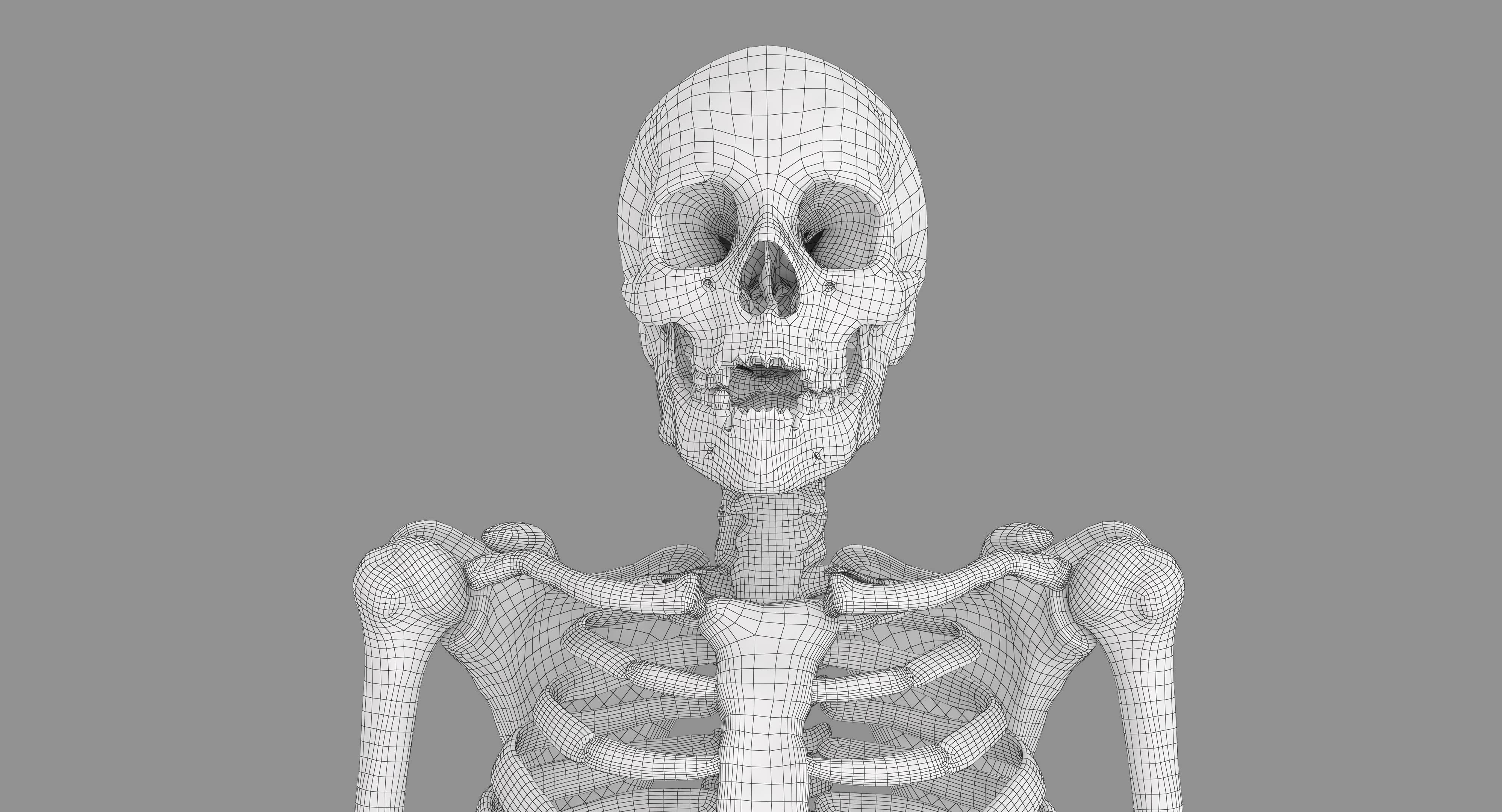 Human Skeleton Scanned Low-poly 3D model_6