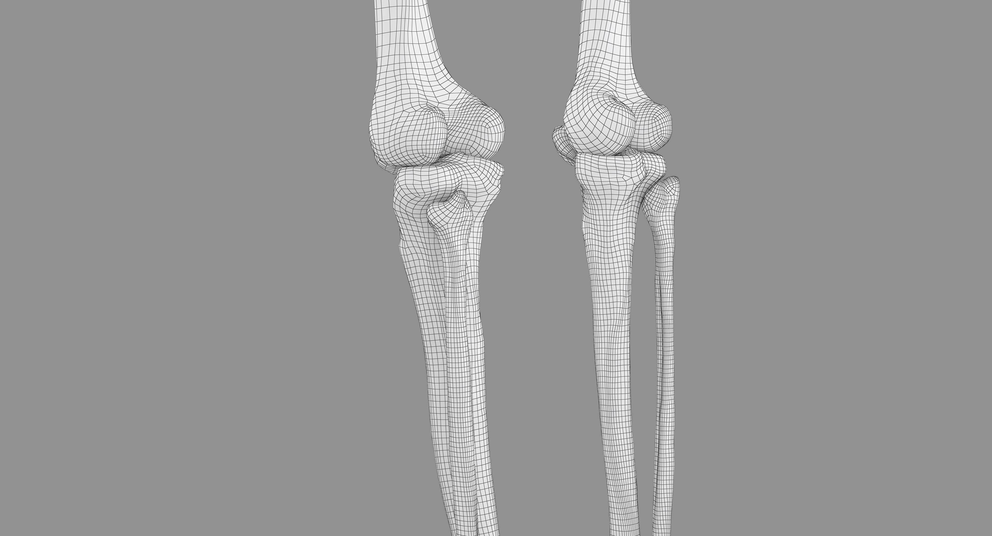 Human Skeleton Scanned Low-poly 3D model_62