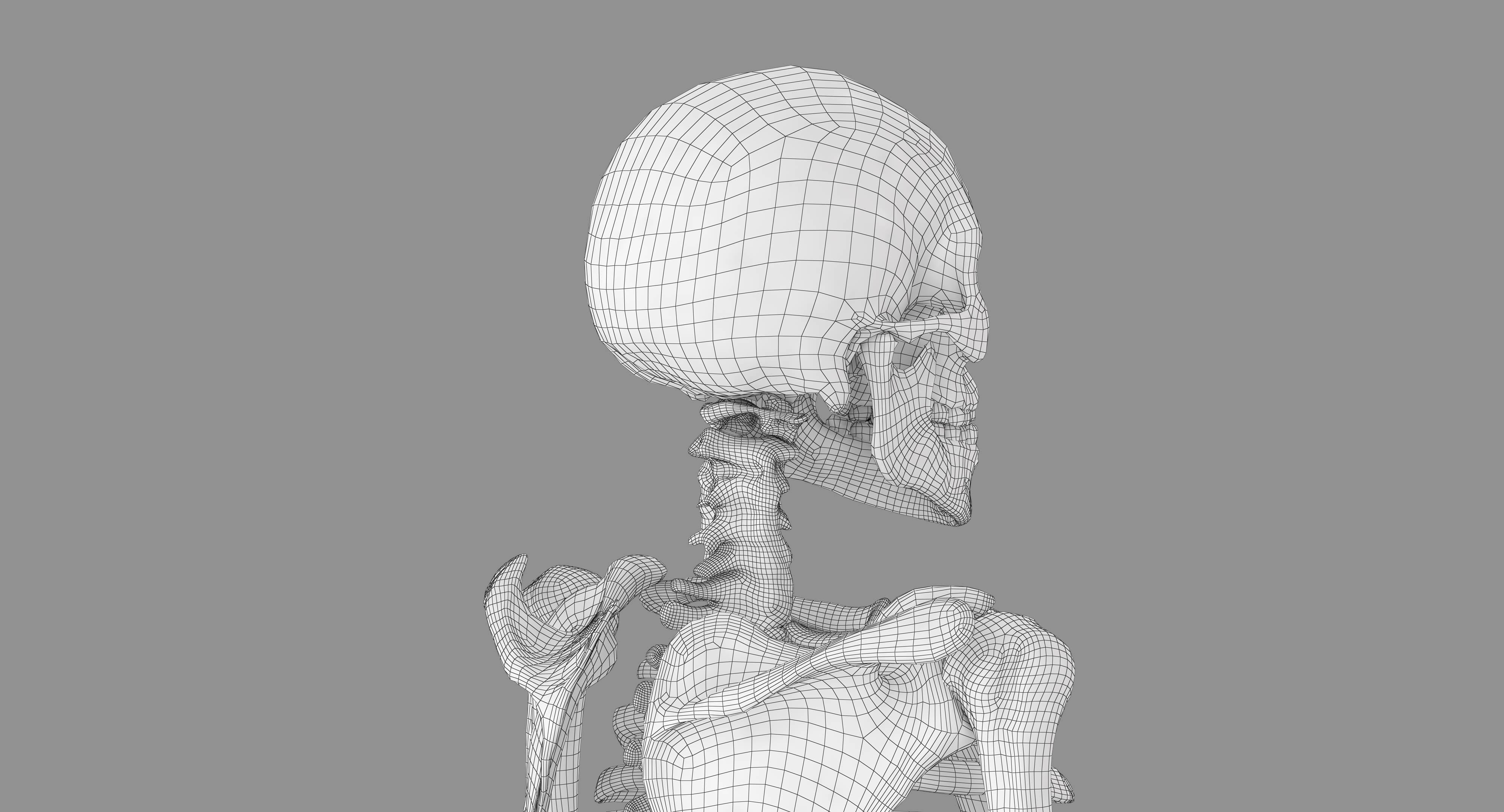 Human Skeleton Scanned Low-poly 3D model_36