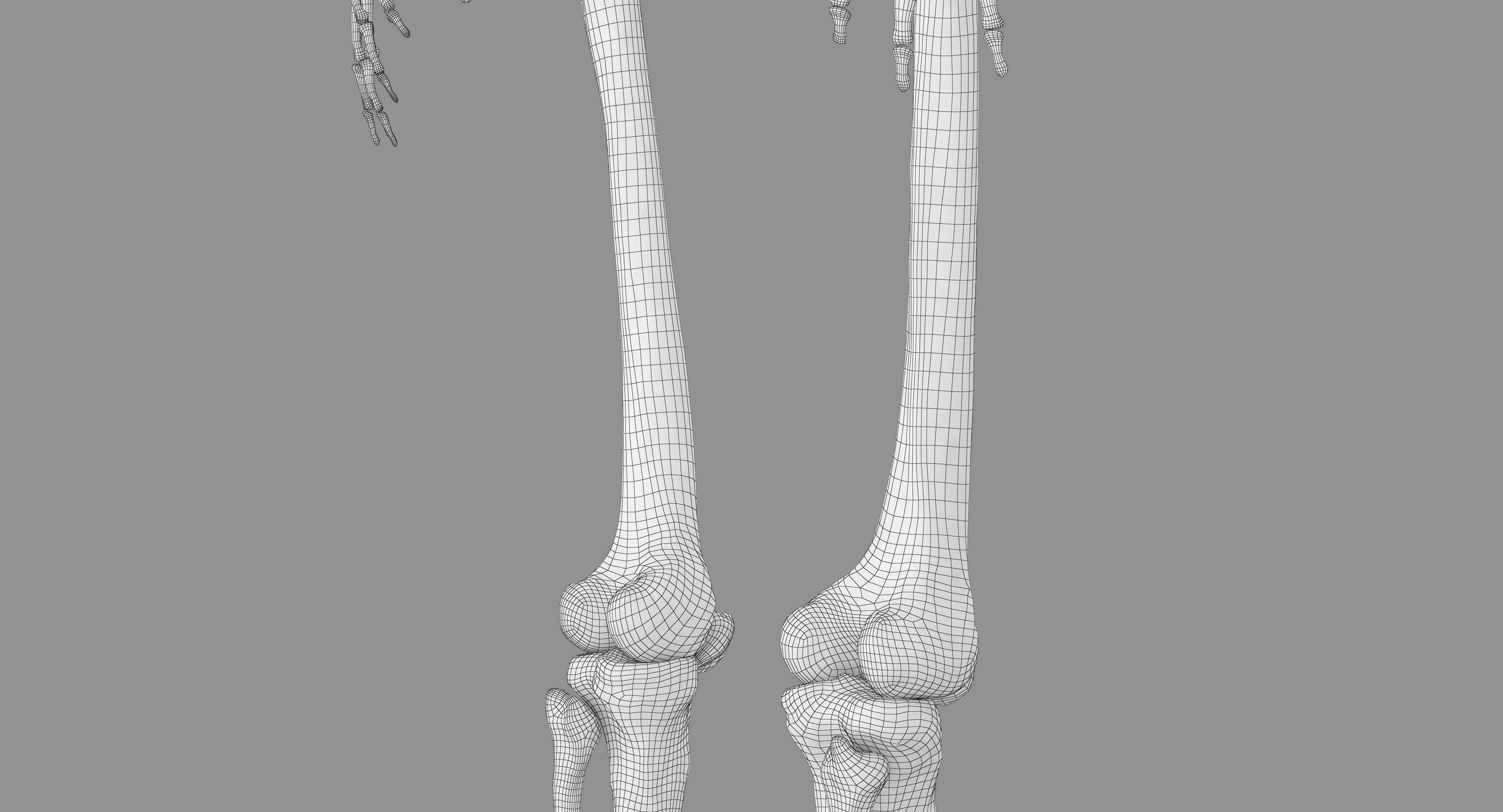 Human Skeleton Scanned Low-poly 3D model_42