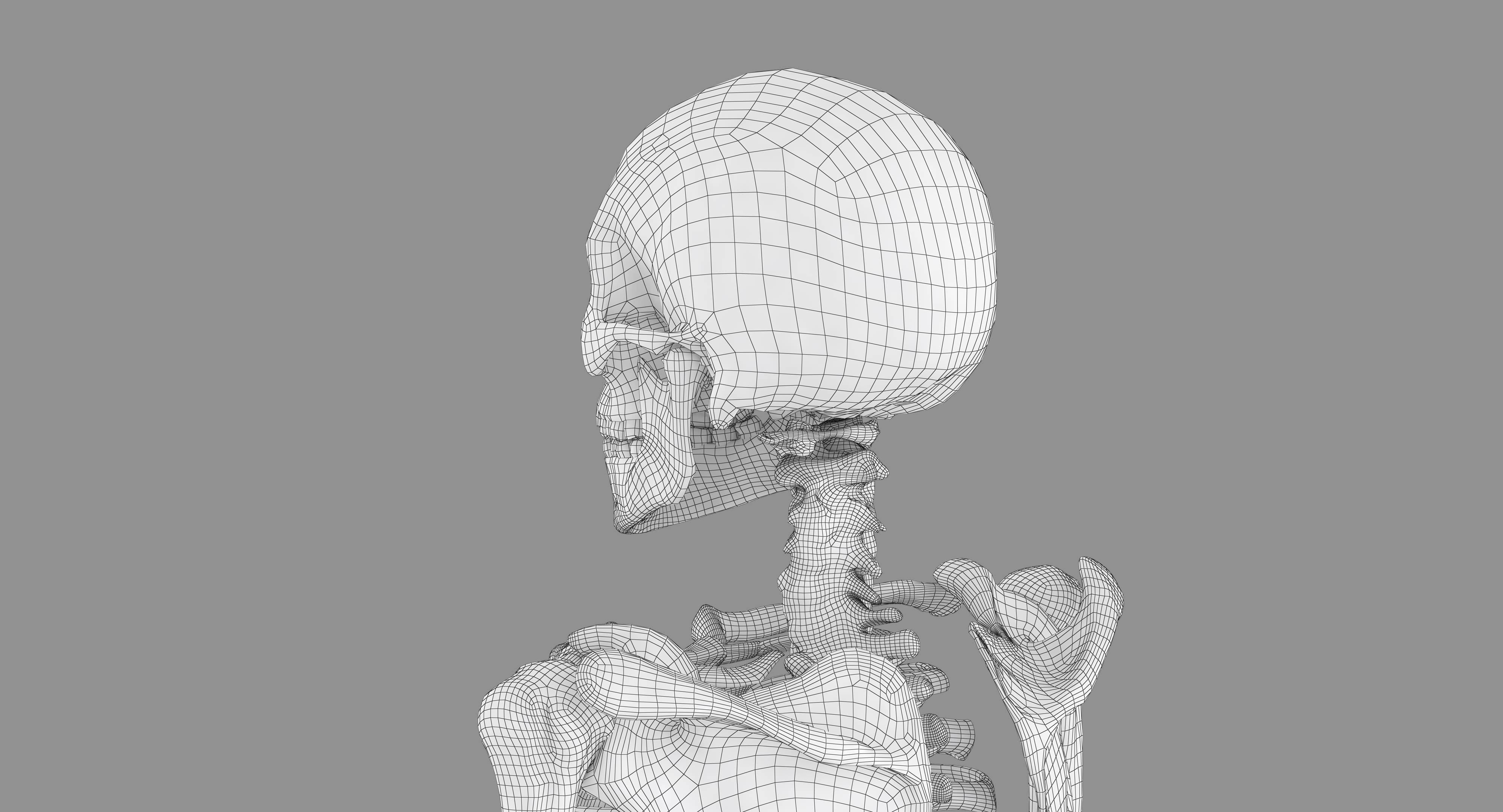 Human Skeleton Scanned Low-poly 3D model_56