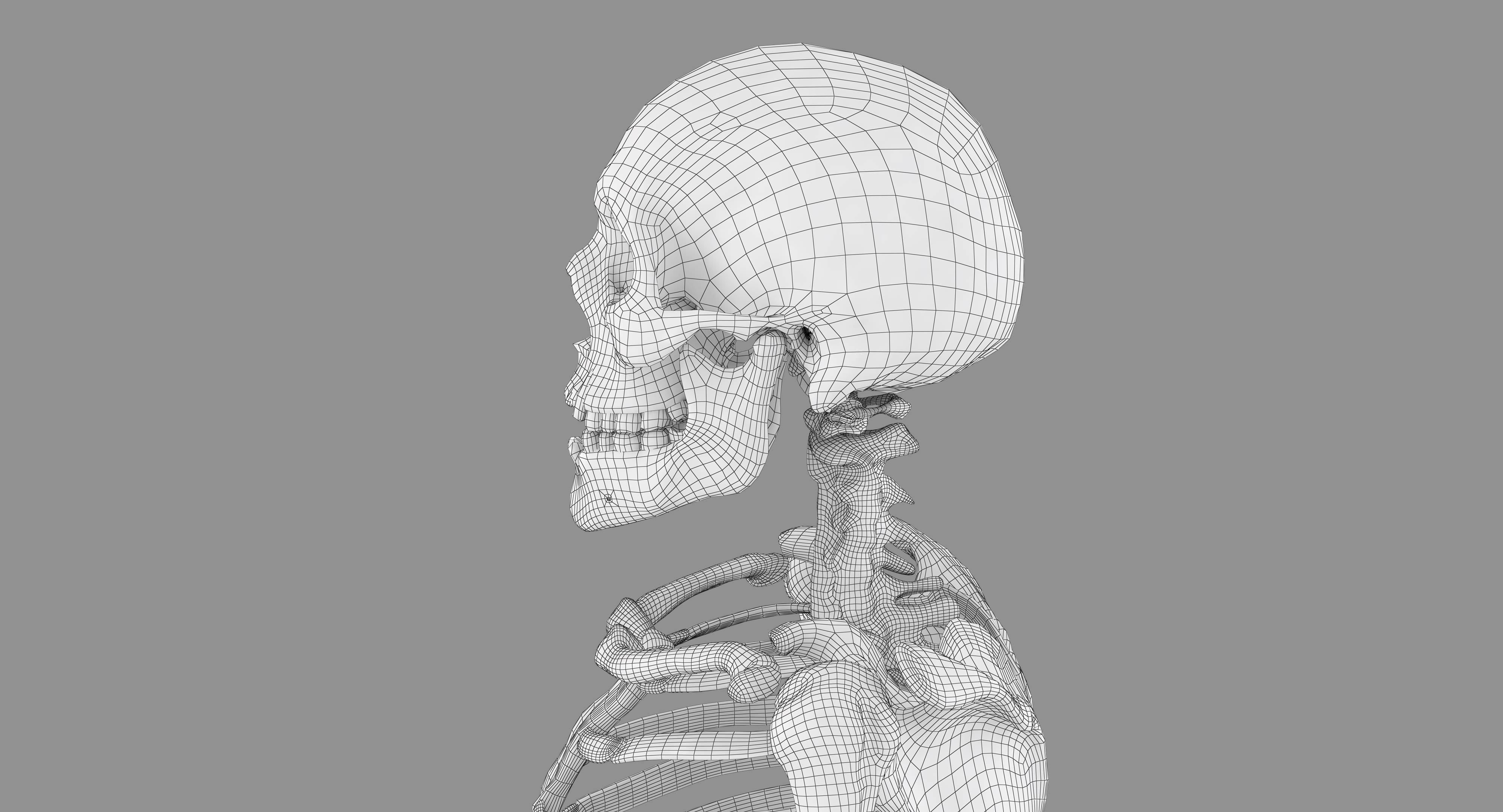 Human Skeleton Scanned Low-poly 3D model_66