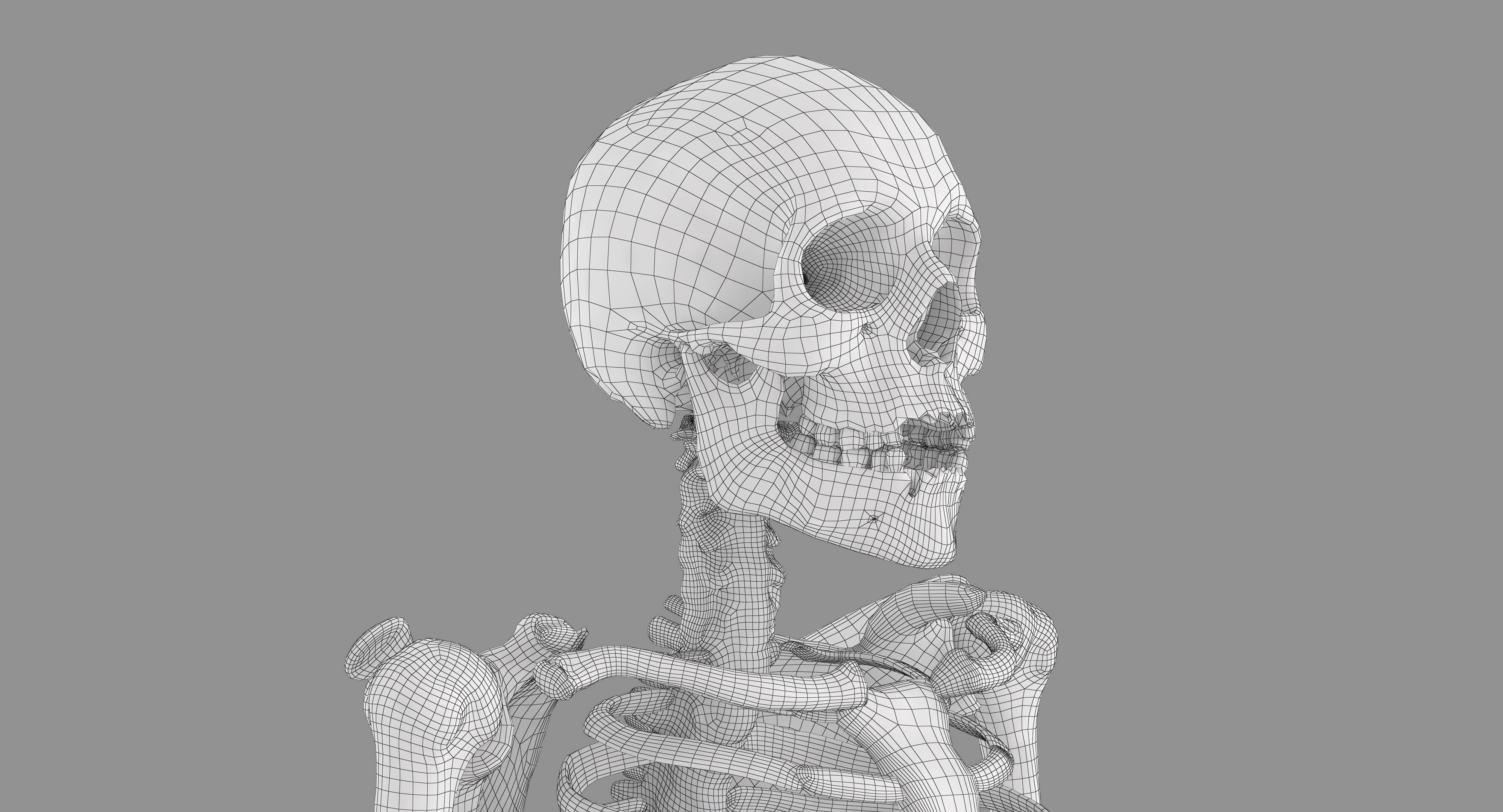Human Skeleton Scanned Low-poly 3D model_16