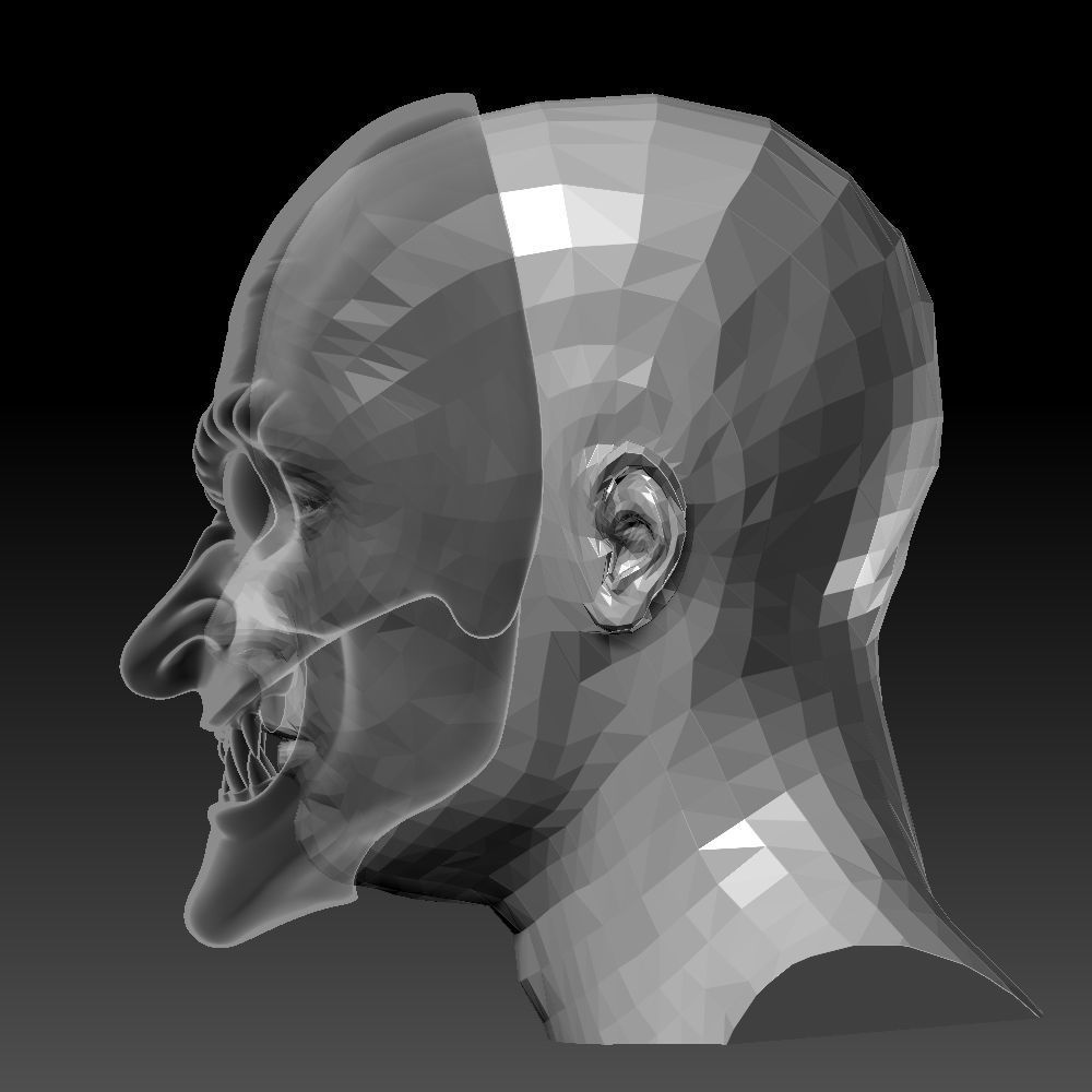 Hobgoblin Mask 3D Printable Model 3D print model_6