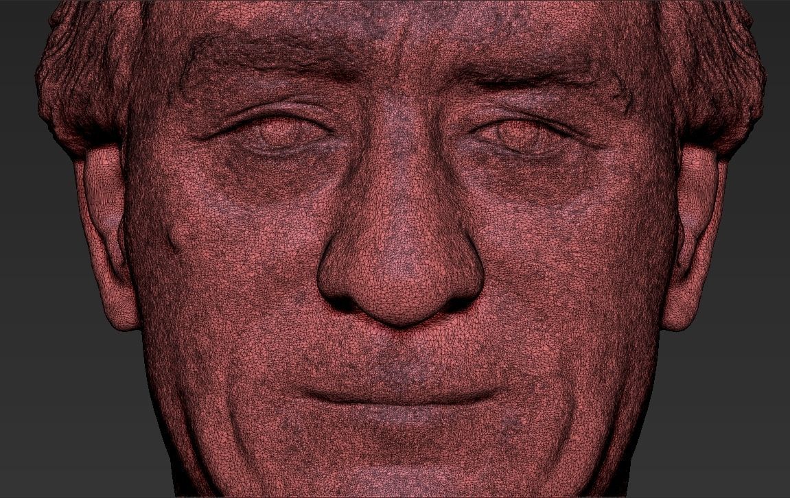 Robert De Niro bust ready for full color 3D printing 3D print model_50