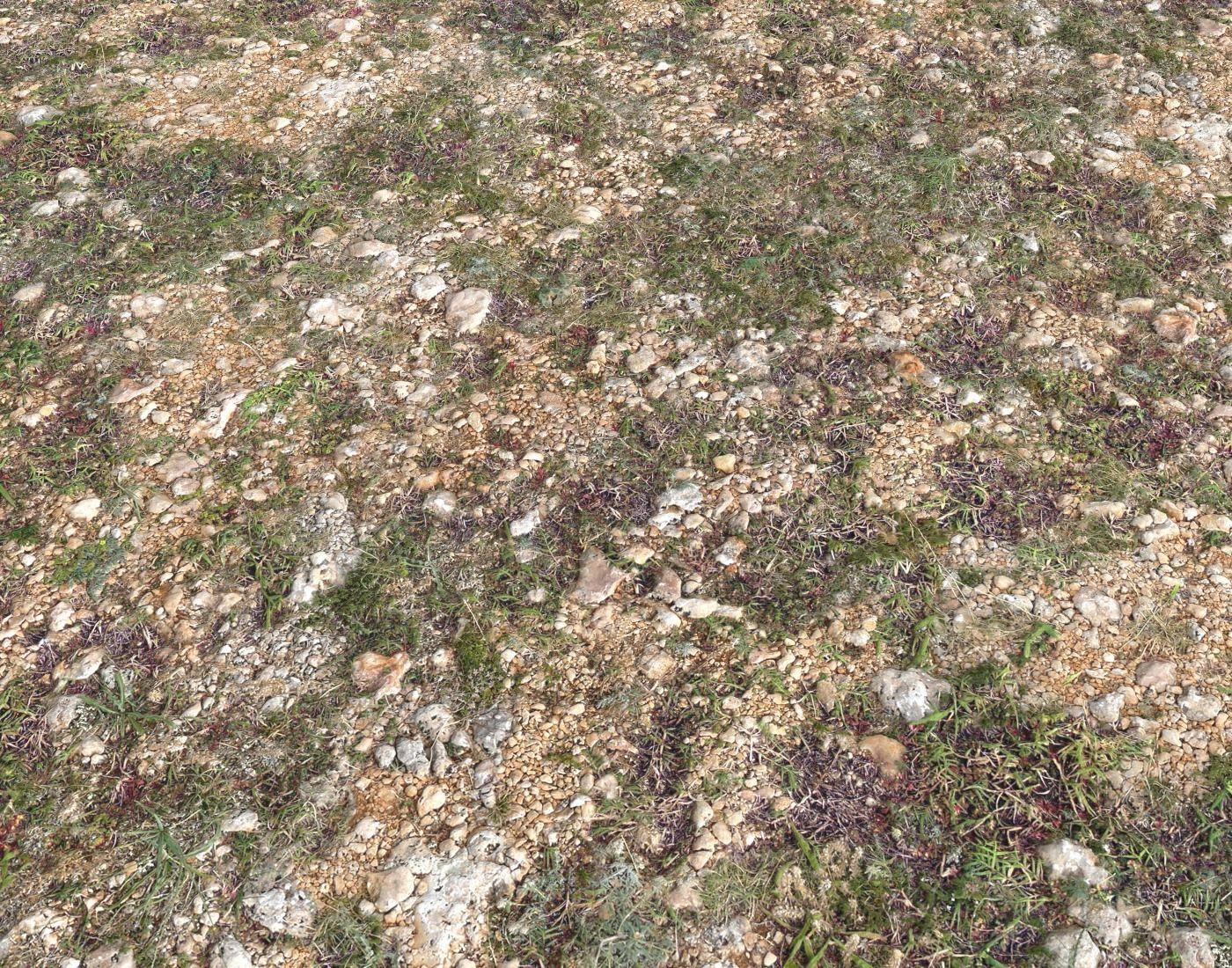 Ground terrain rough tundra PBR pack 1 Texture_6