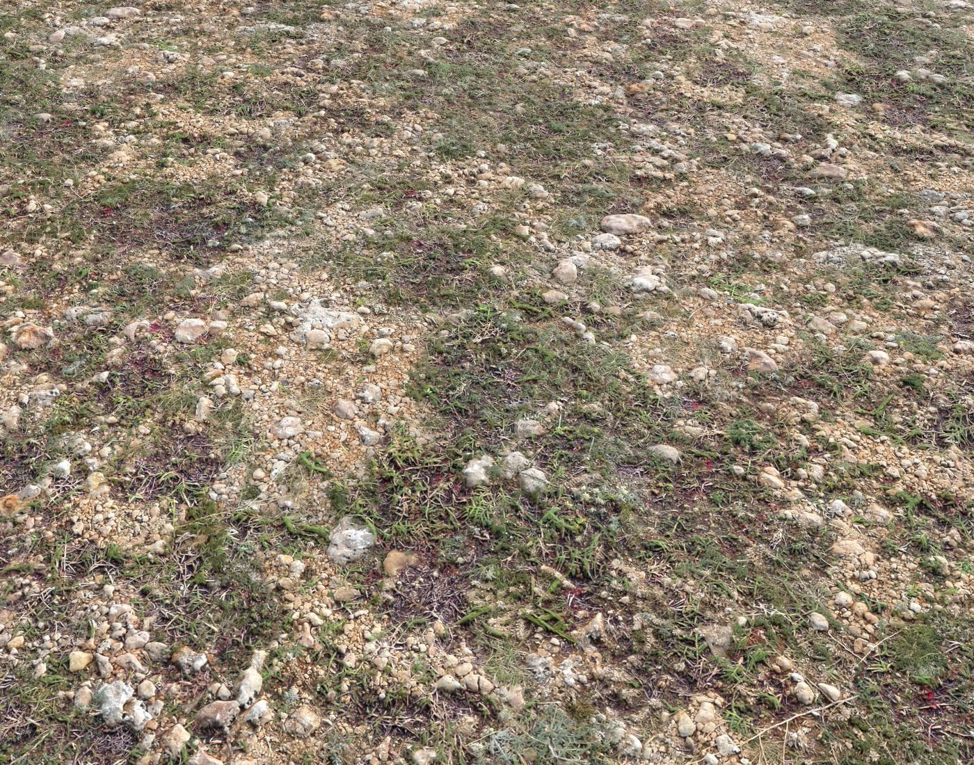 Ground terrain rough tundra PBR pack 1 Texture_8
