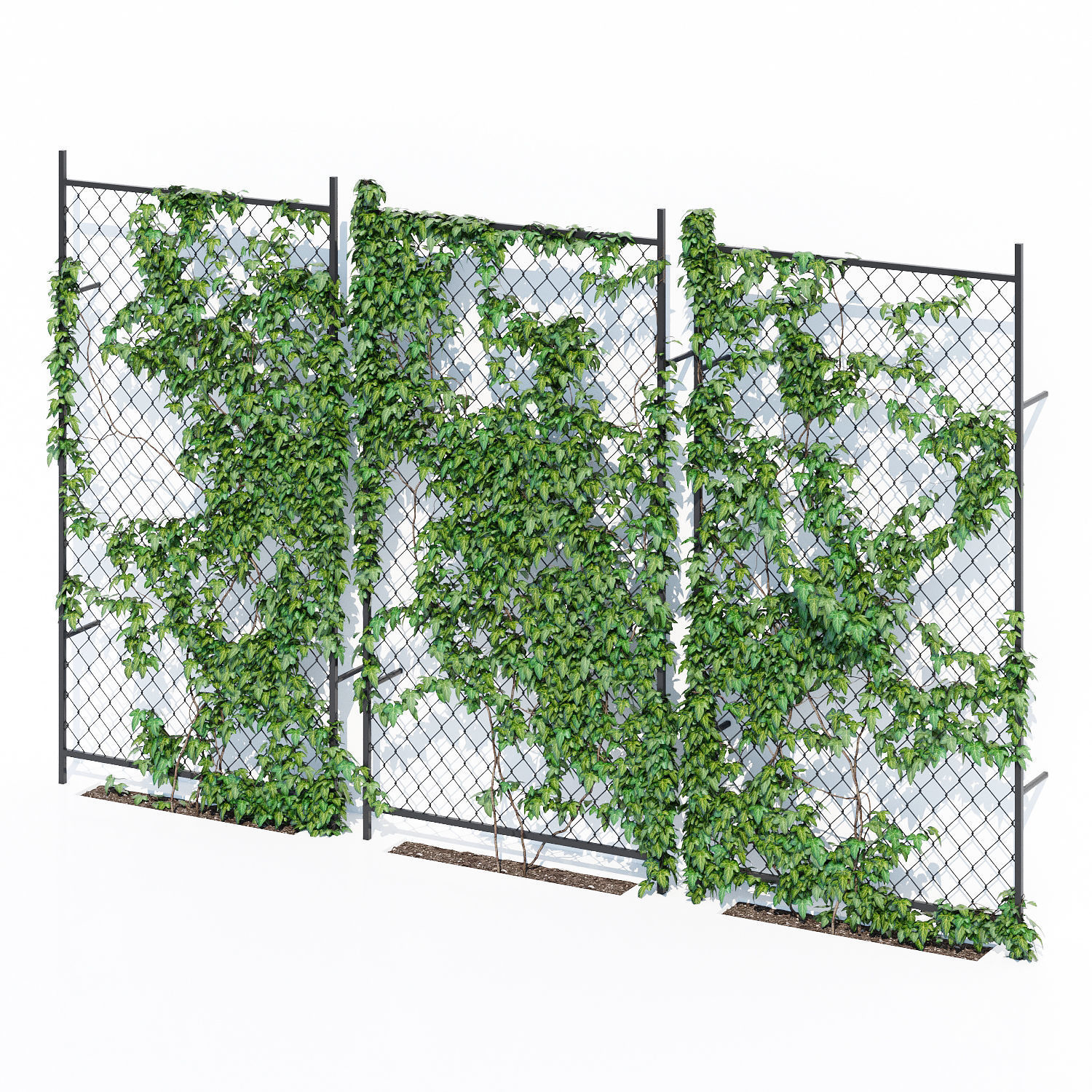 Ivy wall two 3D model_2