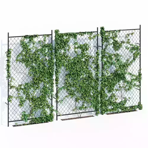 Ivy wall two 3D model