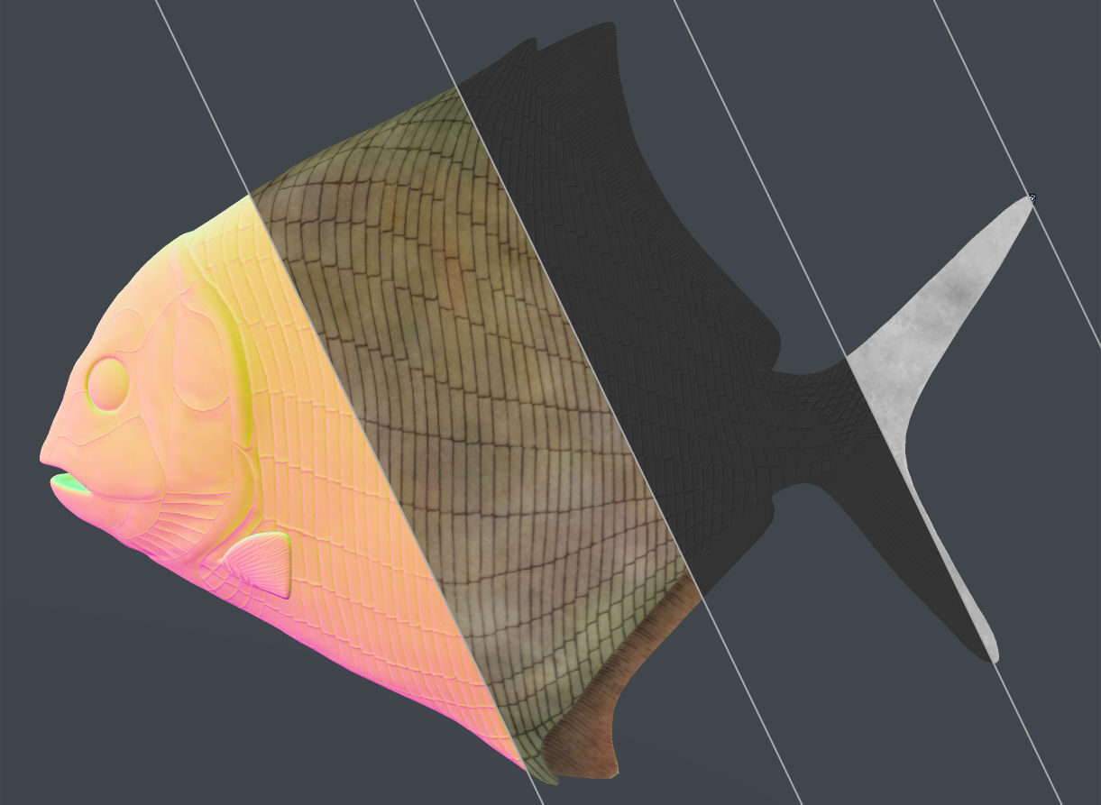 Cheirodus granulosus  Low-poly 3D model_4