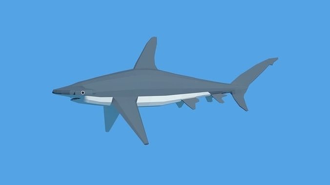 Low Poly Cartoon Hammerhead Shark Low-poly 3D model