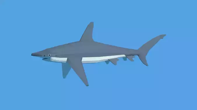 Low Poly Cartoon Hammerhead Shark