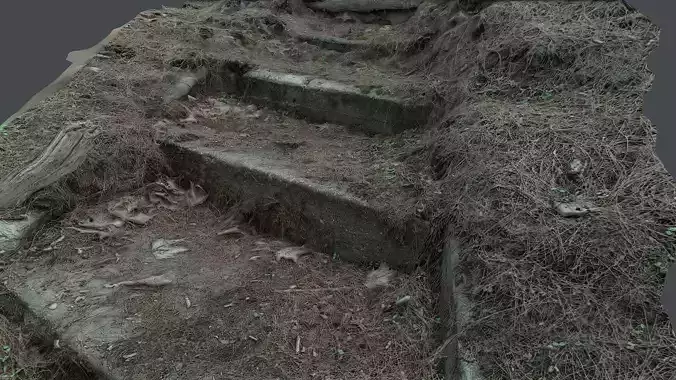 Photoscanned Outdoor wood steps HD