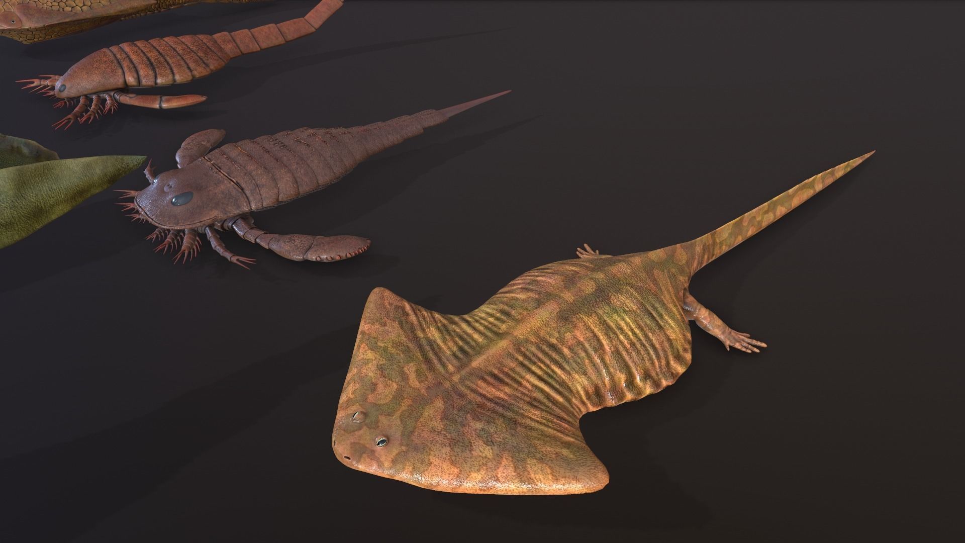 Extinct animals pack v3 Low-poly 3D model_7