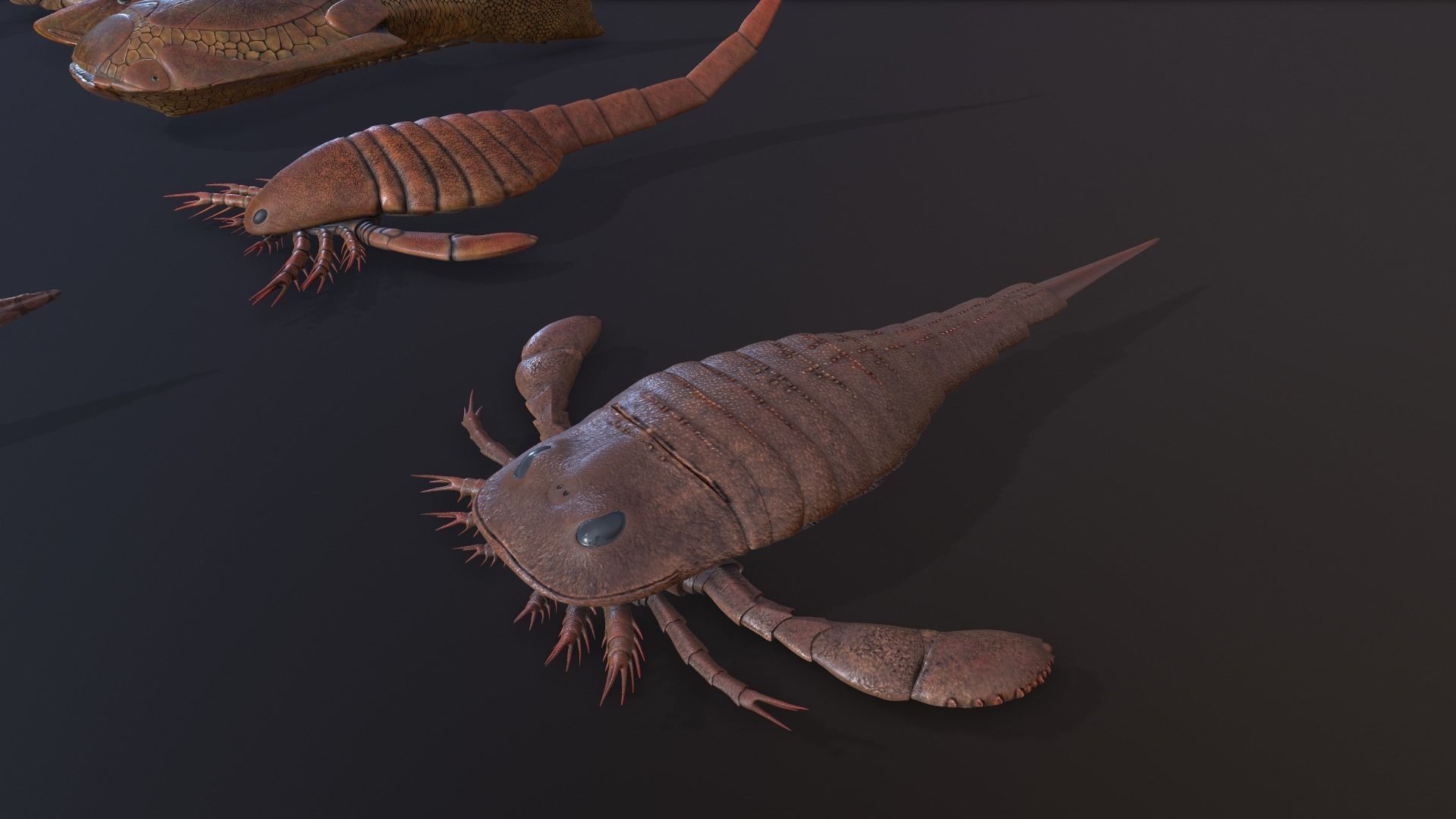 Extinct animals pack v3 Low-poly 3D model_8