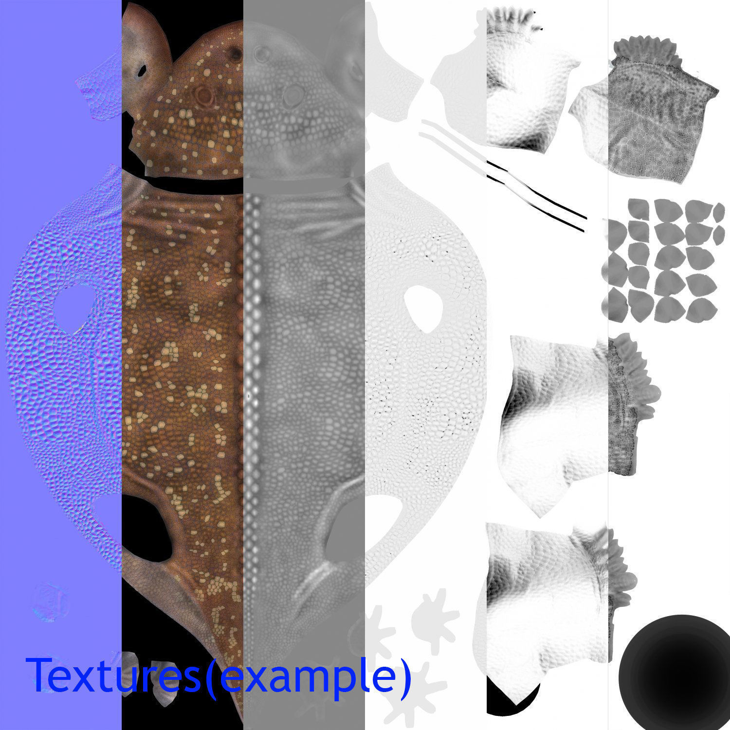 Extinct animals pack v3 Low-poly 3D model_15