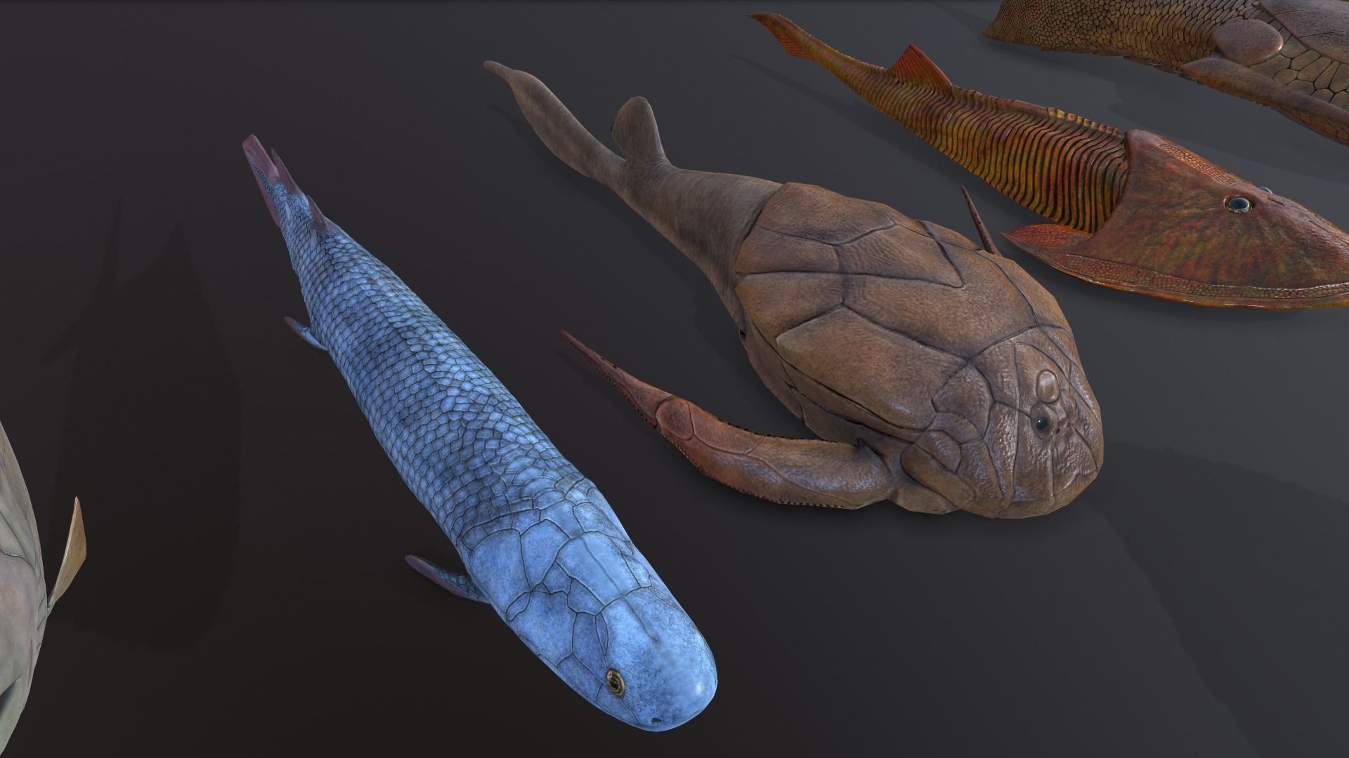 Extinct animals pack v3 Low-poly 3D model_16