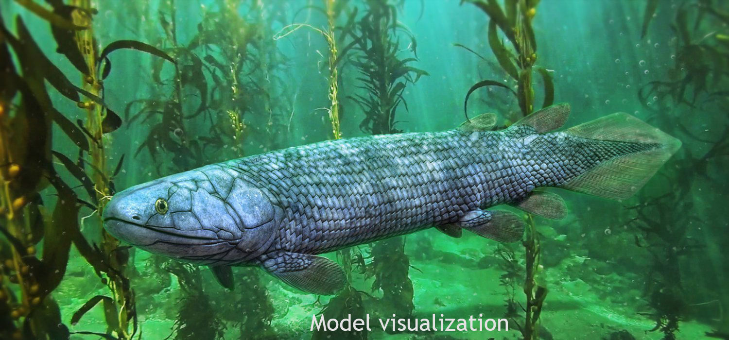 Extinct animals pack v3 Low-poly 3D model_21