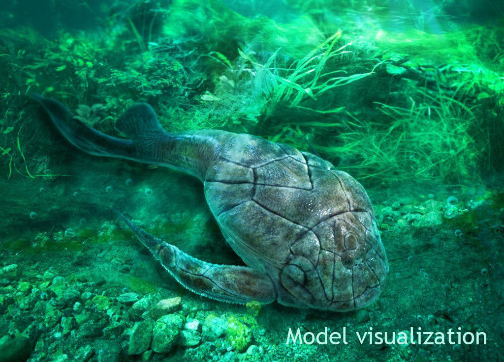 Extinct animals pack v3 Low-poly 3D model_23