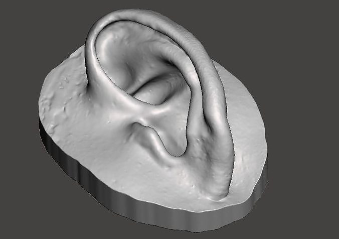 Natural ear anatomy left side 3D print model