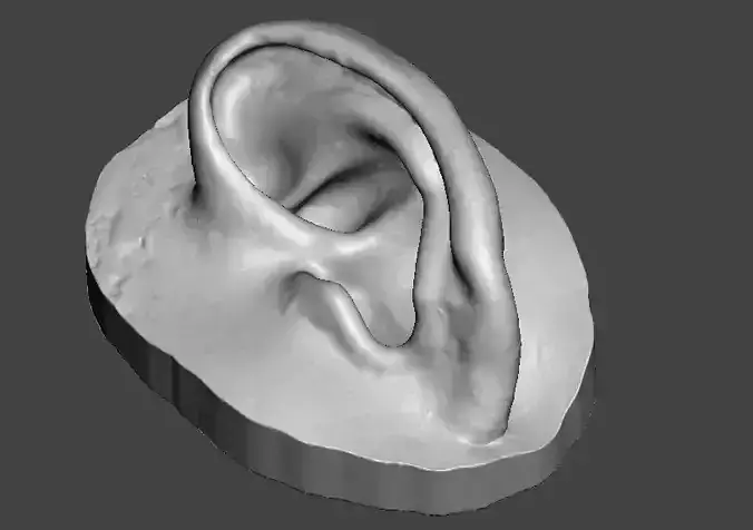 Natural ear anatomy left side 3D print model