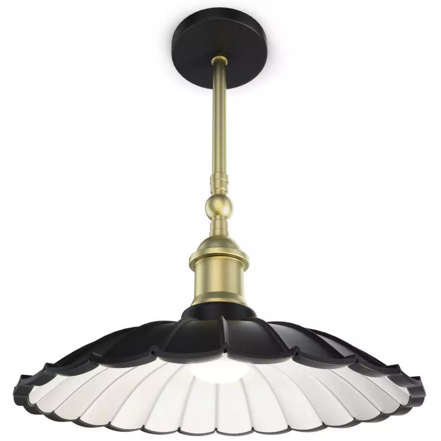 Zape Old Pendant Lamp 3D model_0