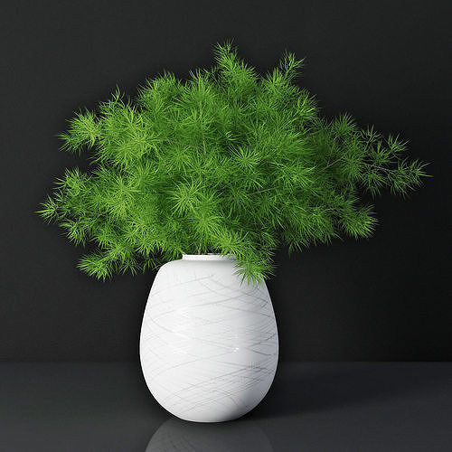 Asparagus 3D model