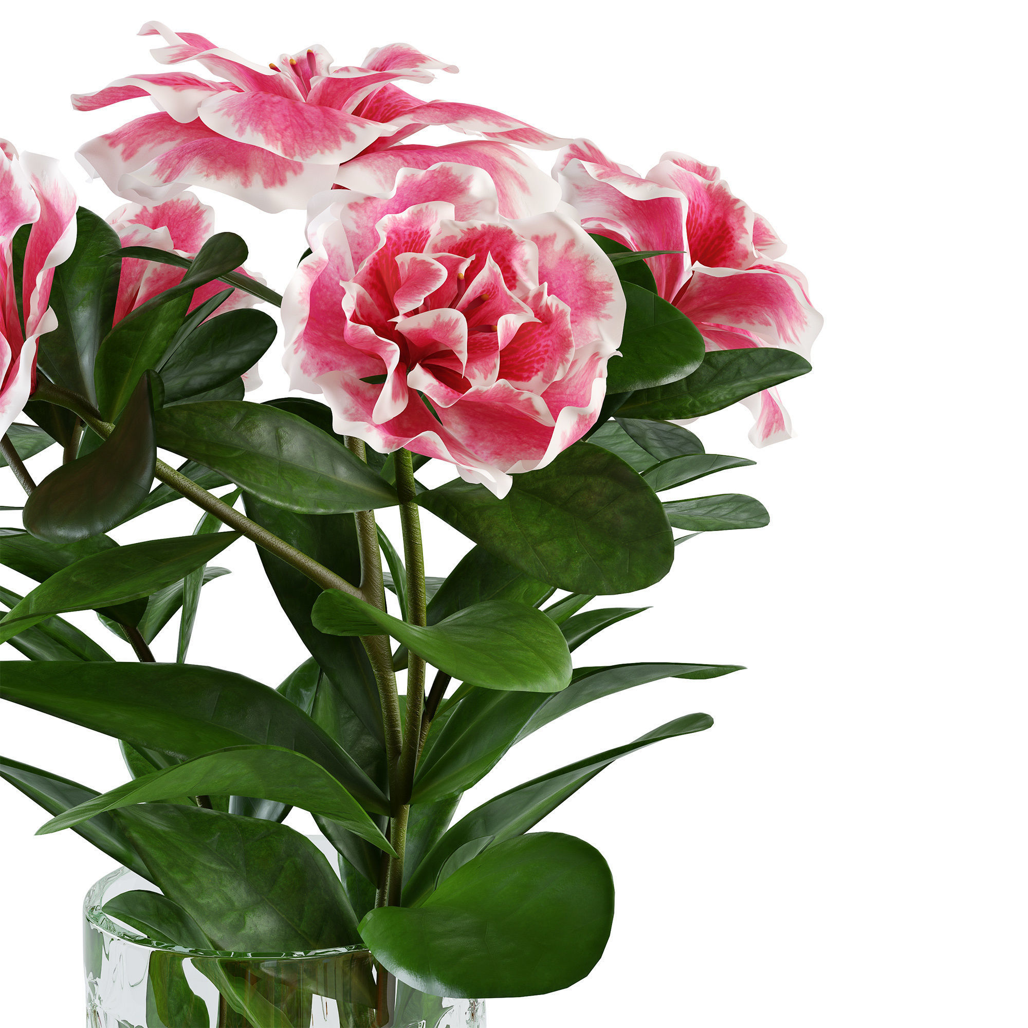 Azalea2 plant in pot with flowers 3D model_10