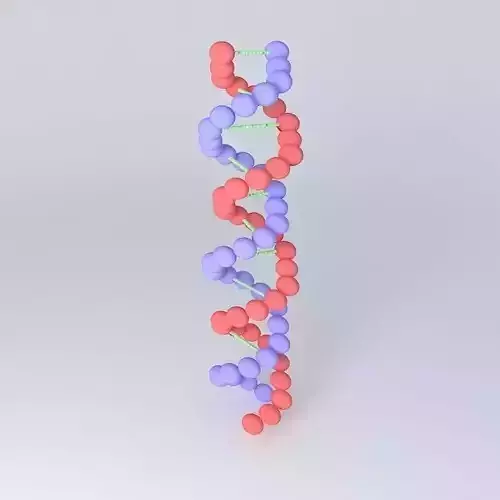 DOUBLE HELIX