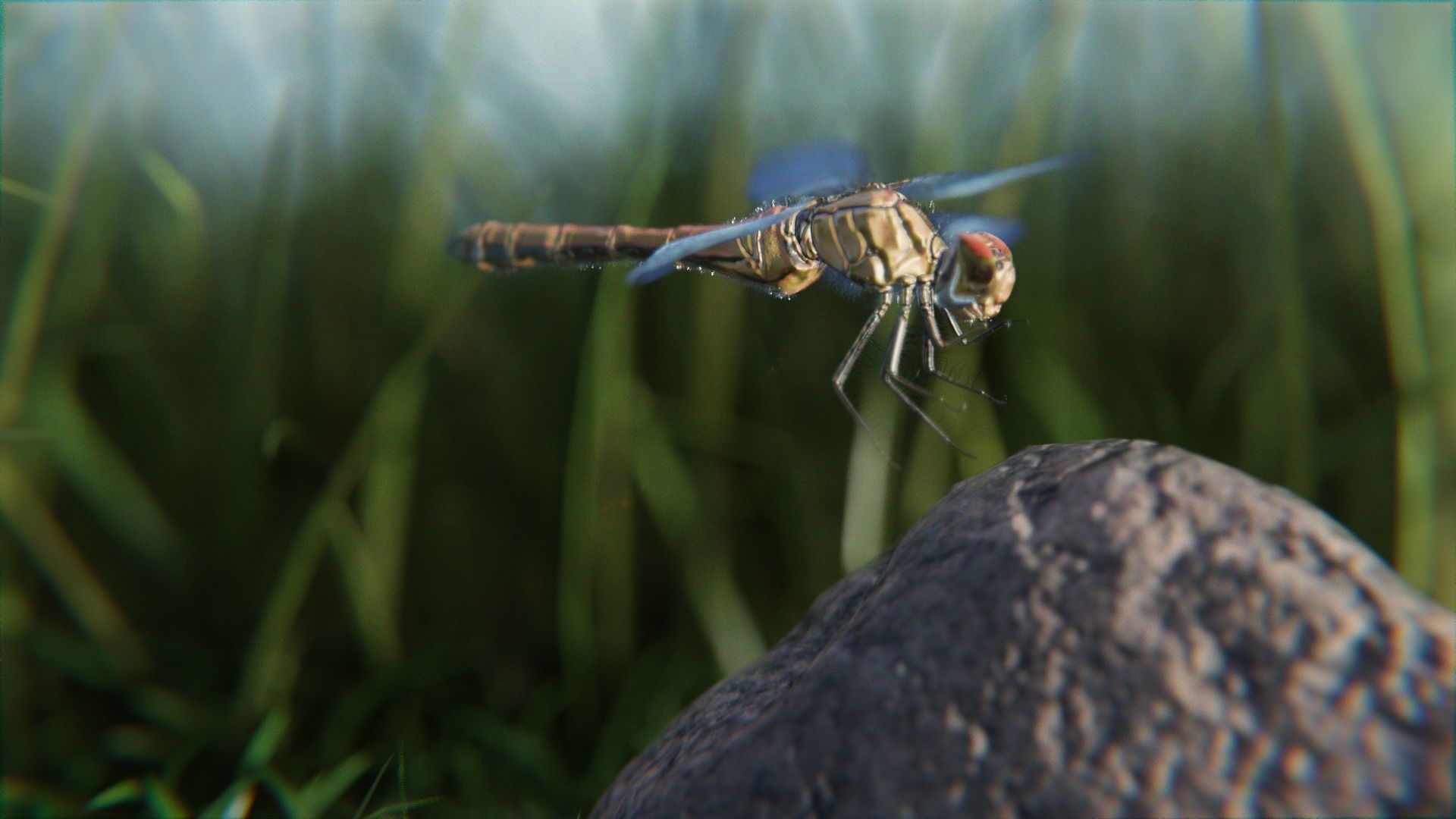 dragonfly 3D model_2