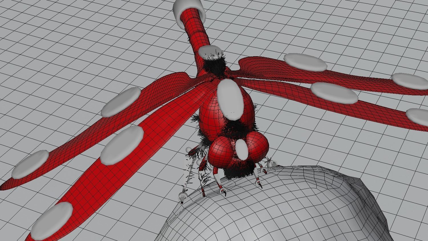 dragonfly 3D model_7