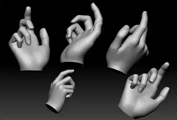 Female Hand Printable 3D model 3D print model
