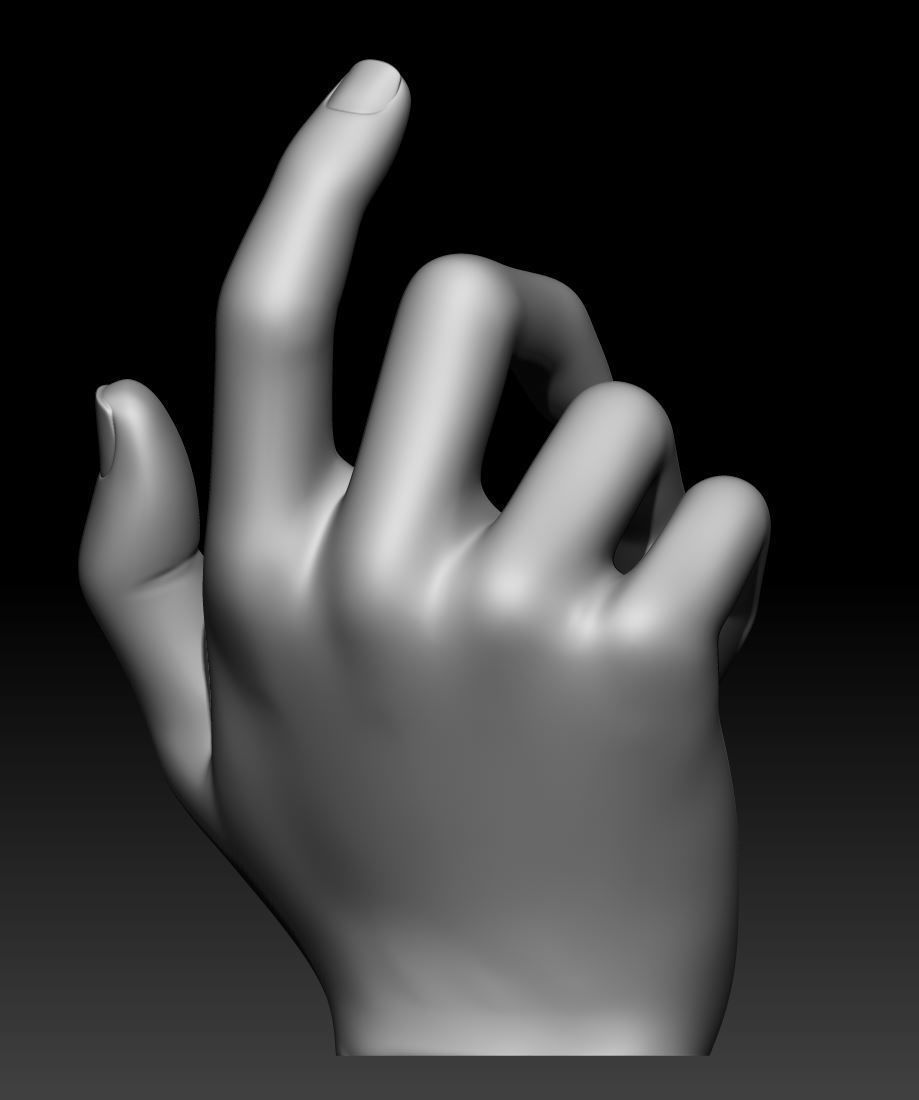 Female Hand Printable 3D model 3D print model_3