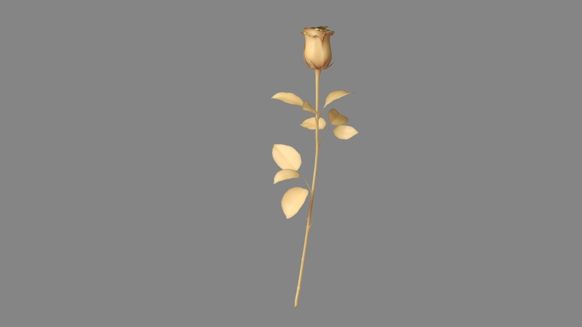 Red Rose 3D model_17